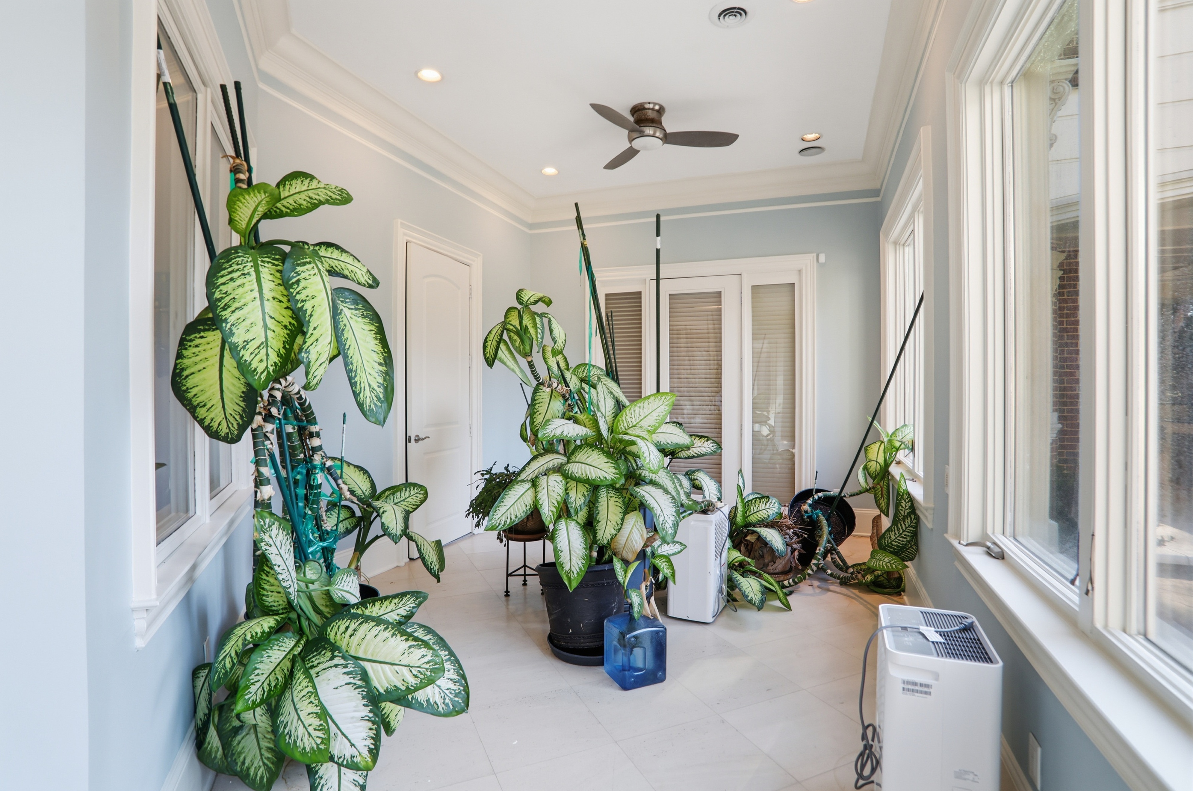 Atlanta, Georgia, 30349, United States, 6 Bedrooms Bedrooms, ,9 BathroomsBathrooms,Residential,For Sale,2013392