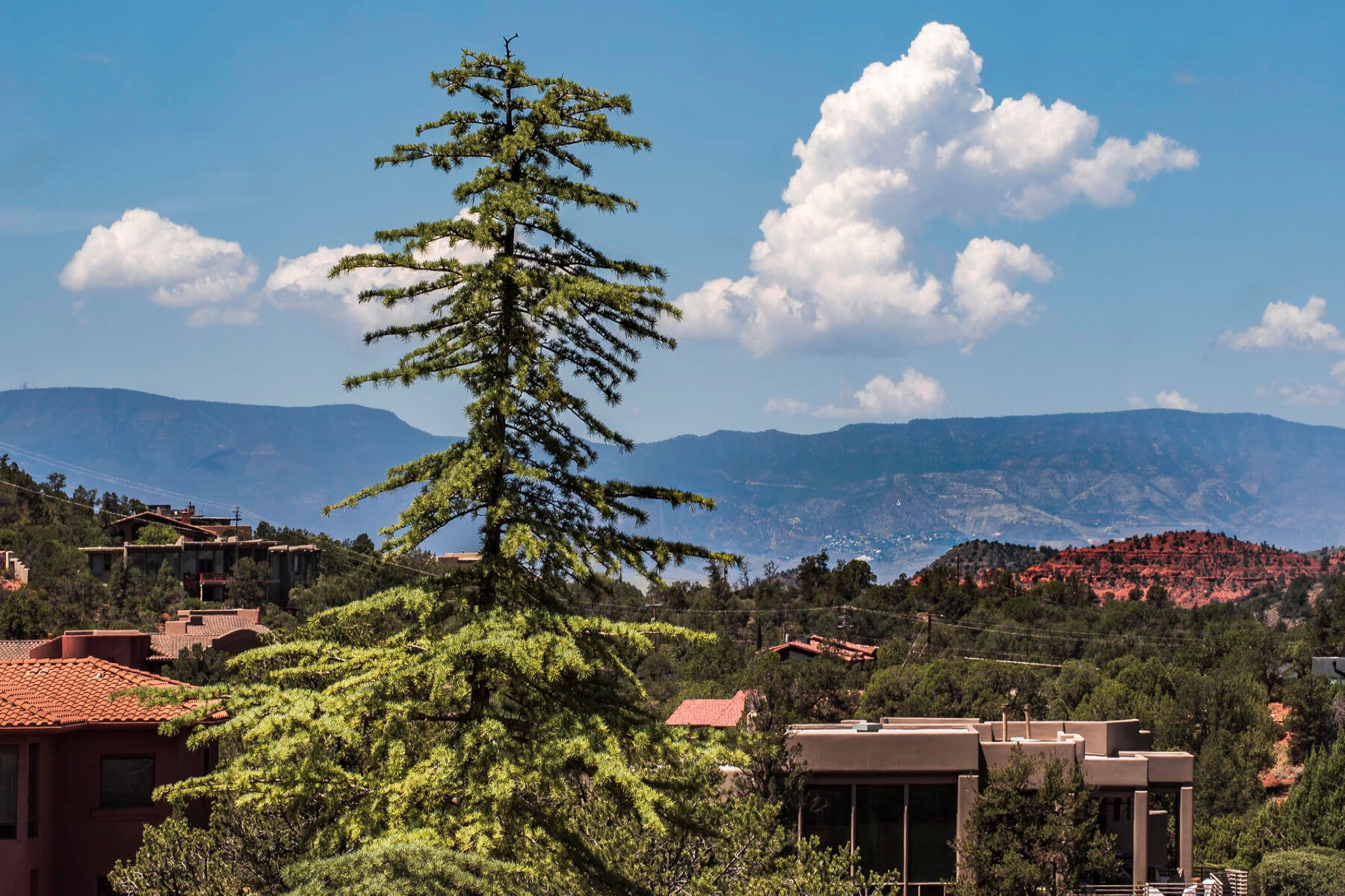  114 E Mallard Dr  Sedona, AZ - 物件實景