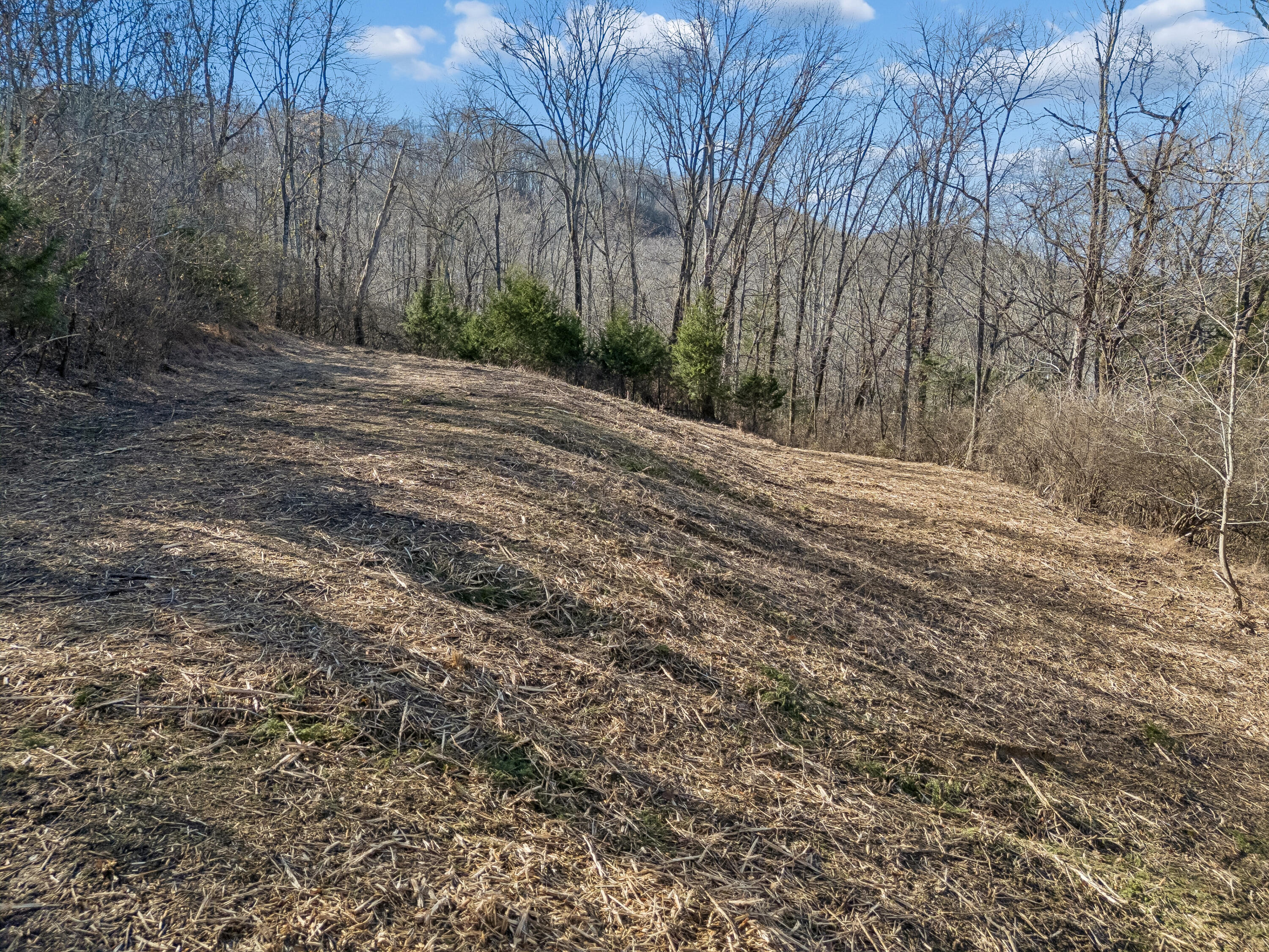 Brentwood, Tennessee, 37027, United States, ,Land,For Sale,2005446