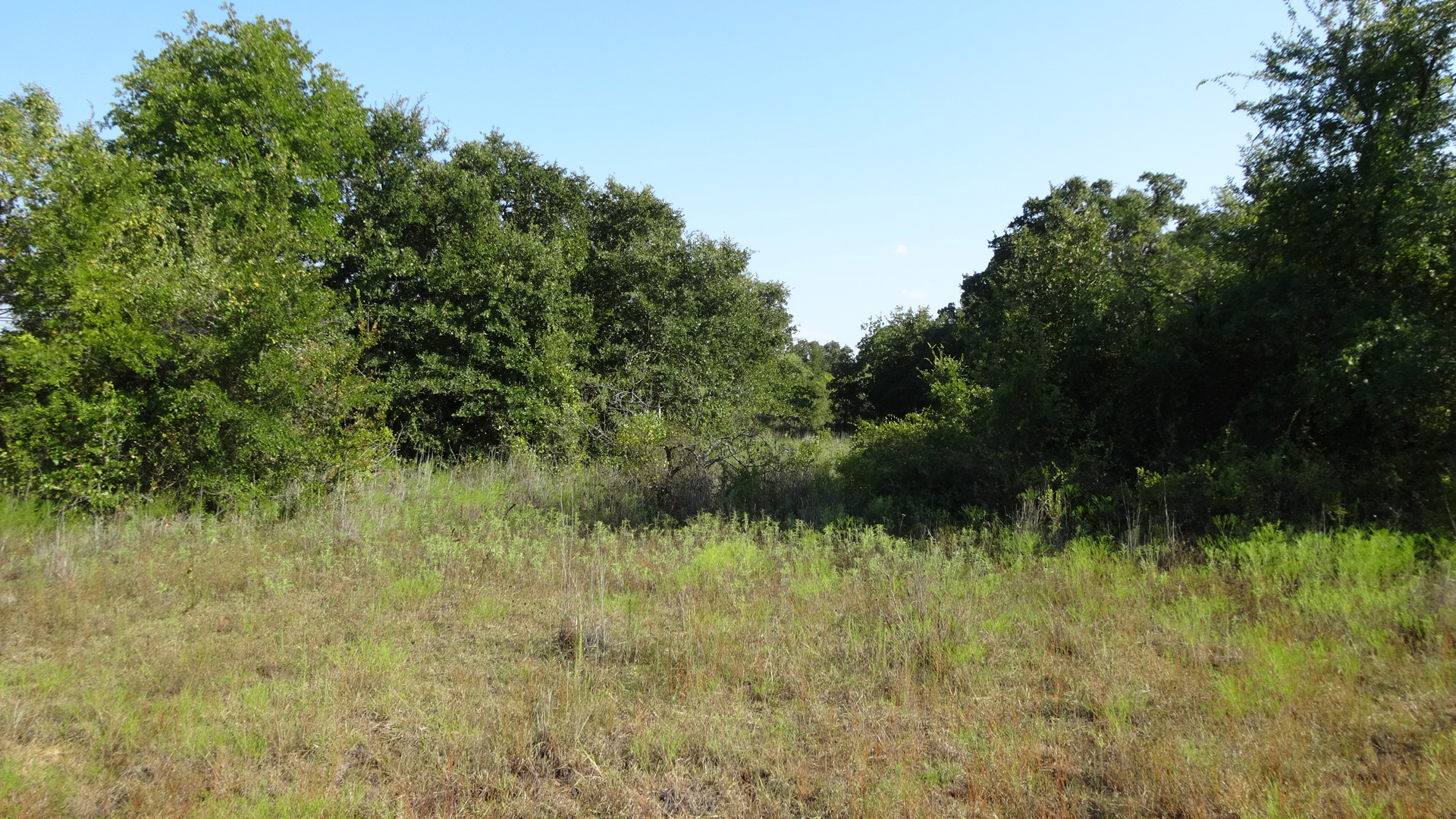 0 Highway 114, Boyd, Texas, 76023, United States, ,Residential,For Sale,0 Highway 114,1008641
