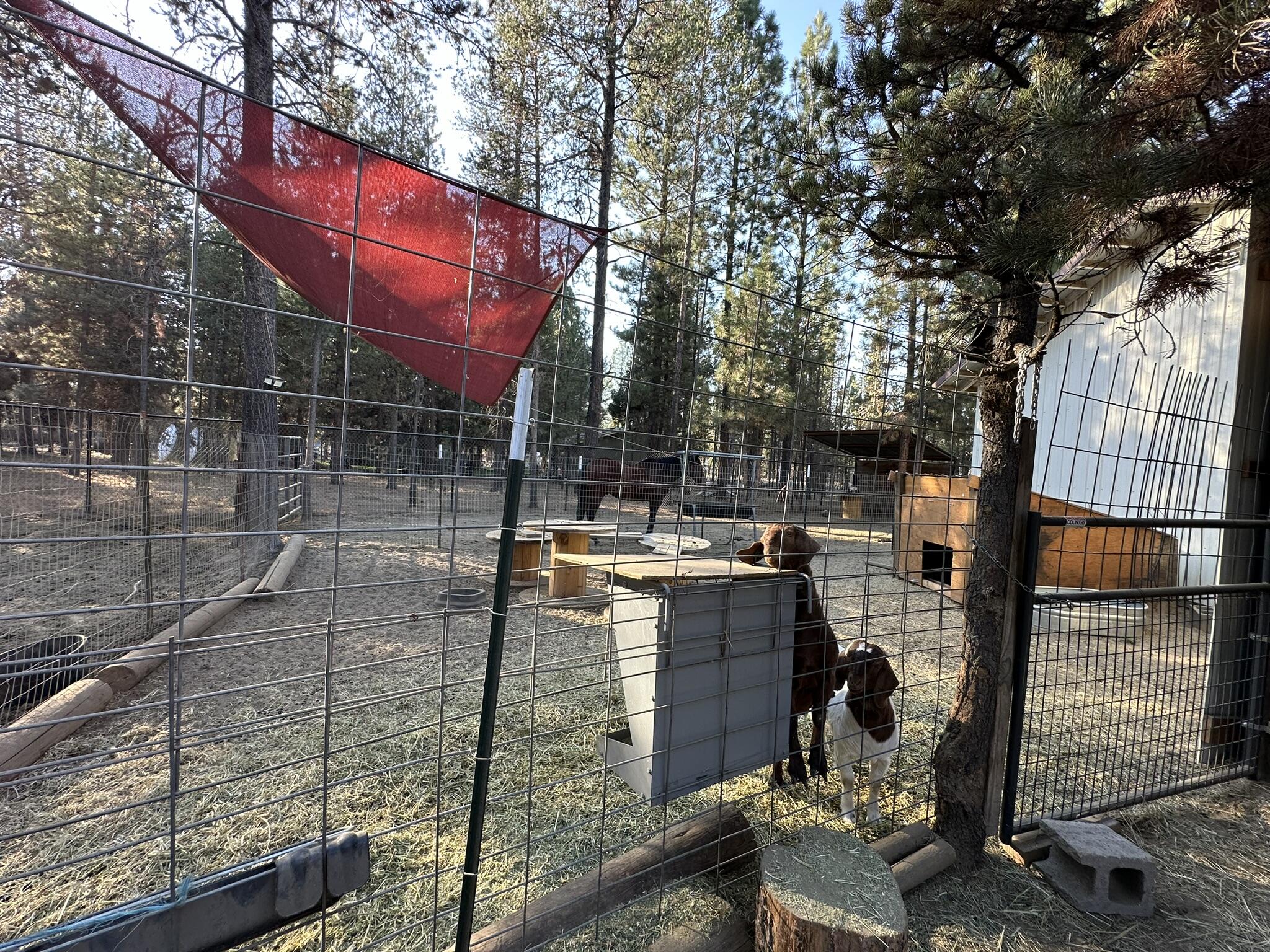 La Pine, Oregon, 97739, United States, 3 Bedrooms Bedrooms, ,2 BathroomsBathrooms,Residential,For Sale,2040090