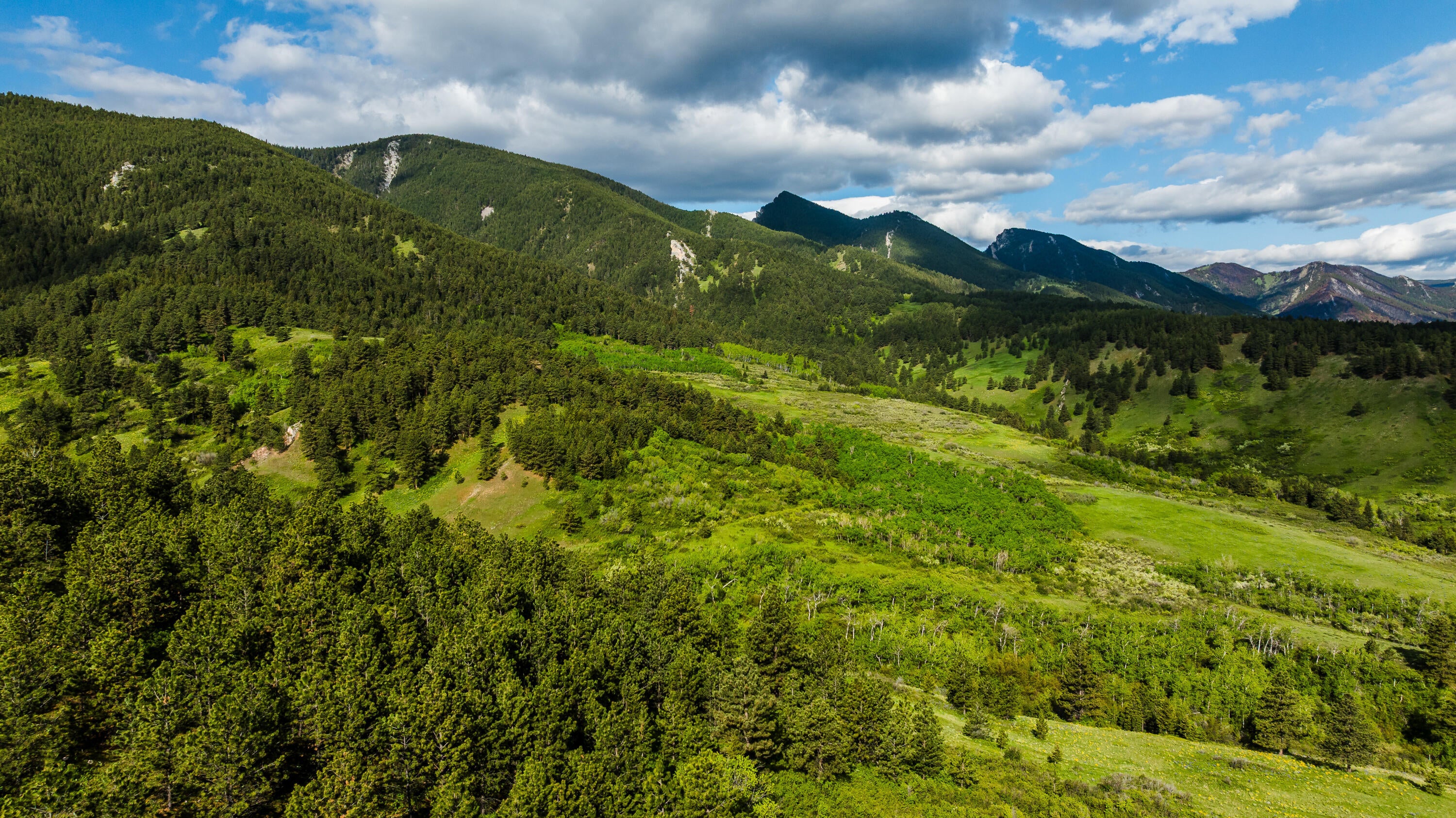 Big Horn, Wyoming, 82833, United States, ,Residential,For Sale,2011314