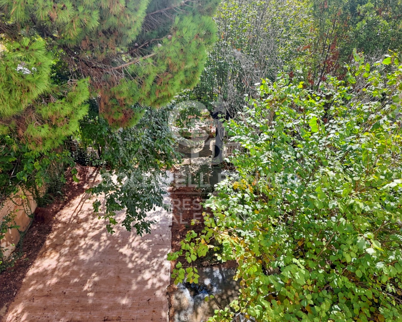 Barcelona, Barcelona, Les Corts, Pedralbes Barcelo, Barcelona, Catalonia, ES, ,Residential,For Sale,Barcelona, Barcelona, Les Corts, Pedralbes Barcelo,1639423