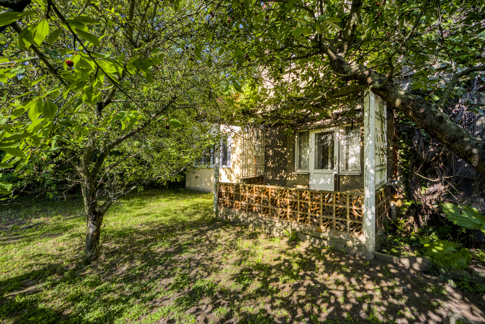  Family Villa for Renovation - 物件實景