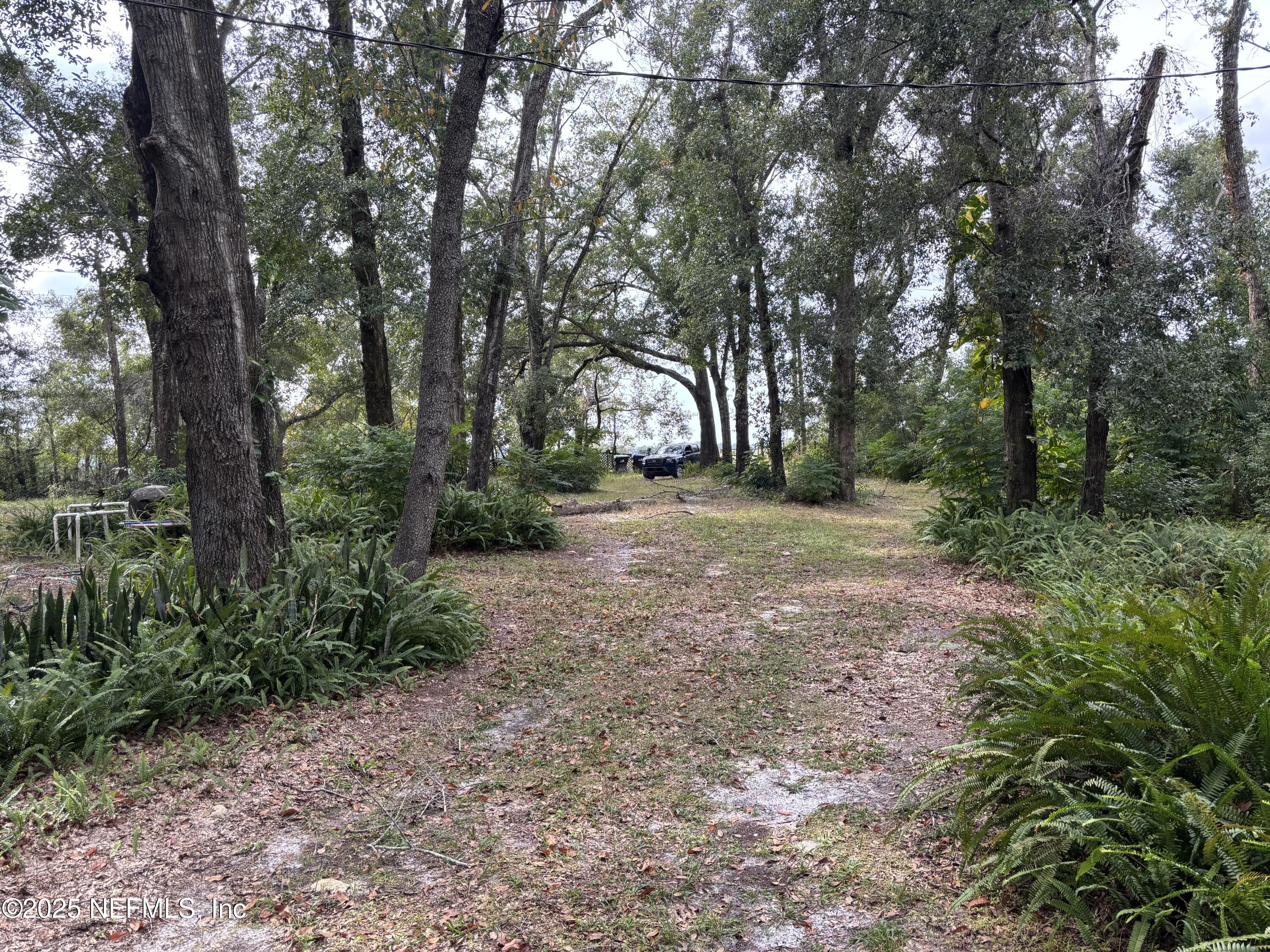 Apopka, Florida, 32712, United States, ,Land,For Sale,2002894