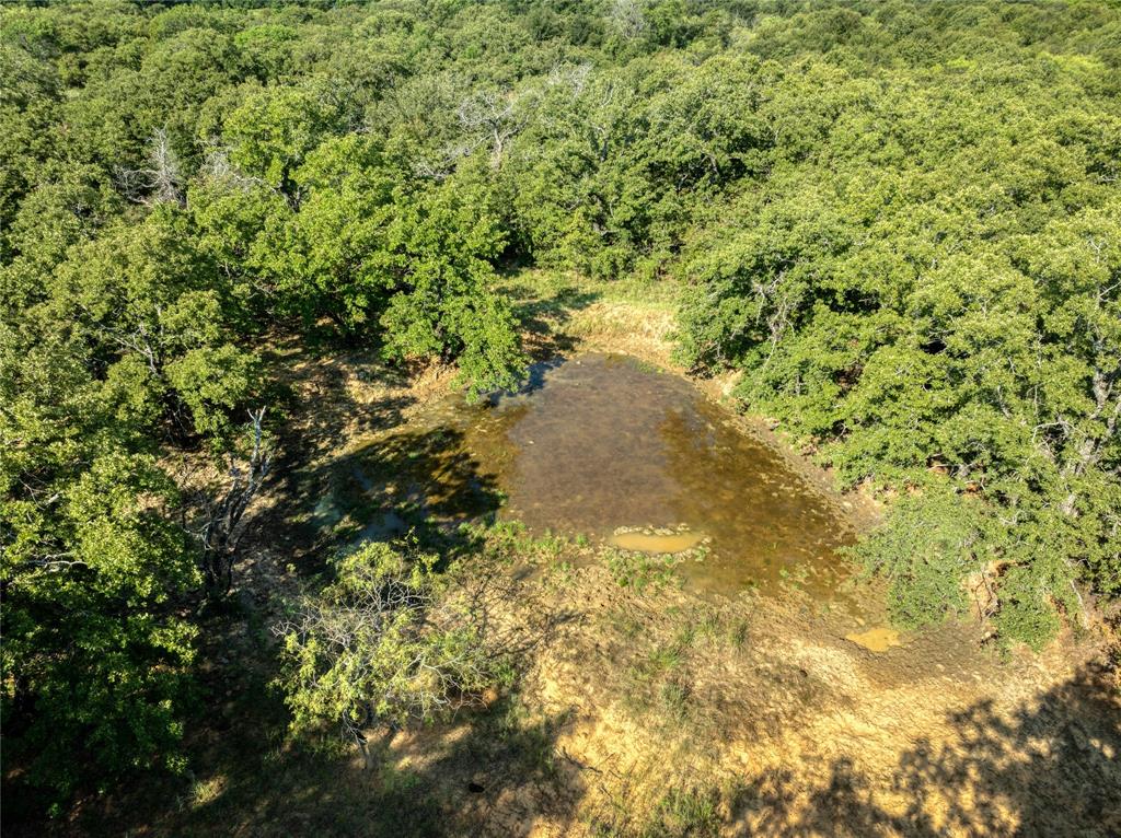 Chico, Texas, 76431, United States, ,Land,For Sale,1975530