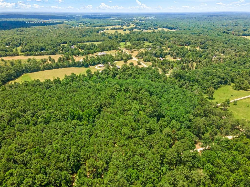 Bush, Louisiana, 70431, United States, ,Land,For Sale,1987560