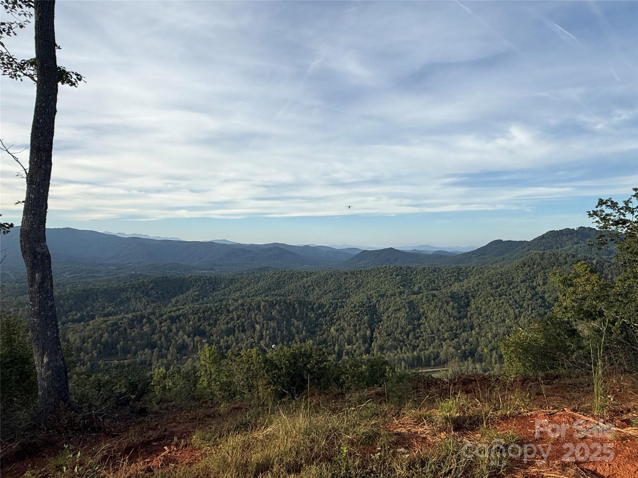 Union Mills, North Carolina, 28167, United States, ,Land,For Sale,1976406
