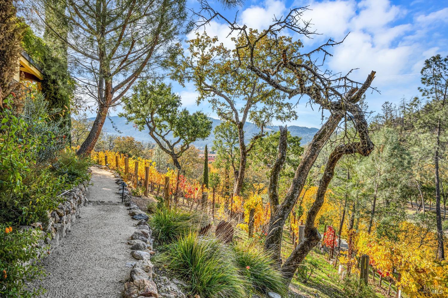 Calistoga, California, 94515, United States, 3 Bedrooms Bedrooms, ,5 BathroomsBathrooms,Residential,For Sale,1738551