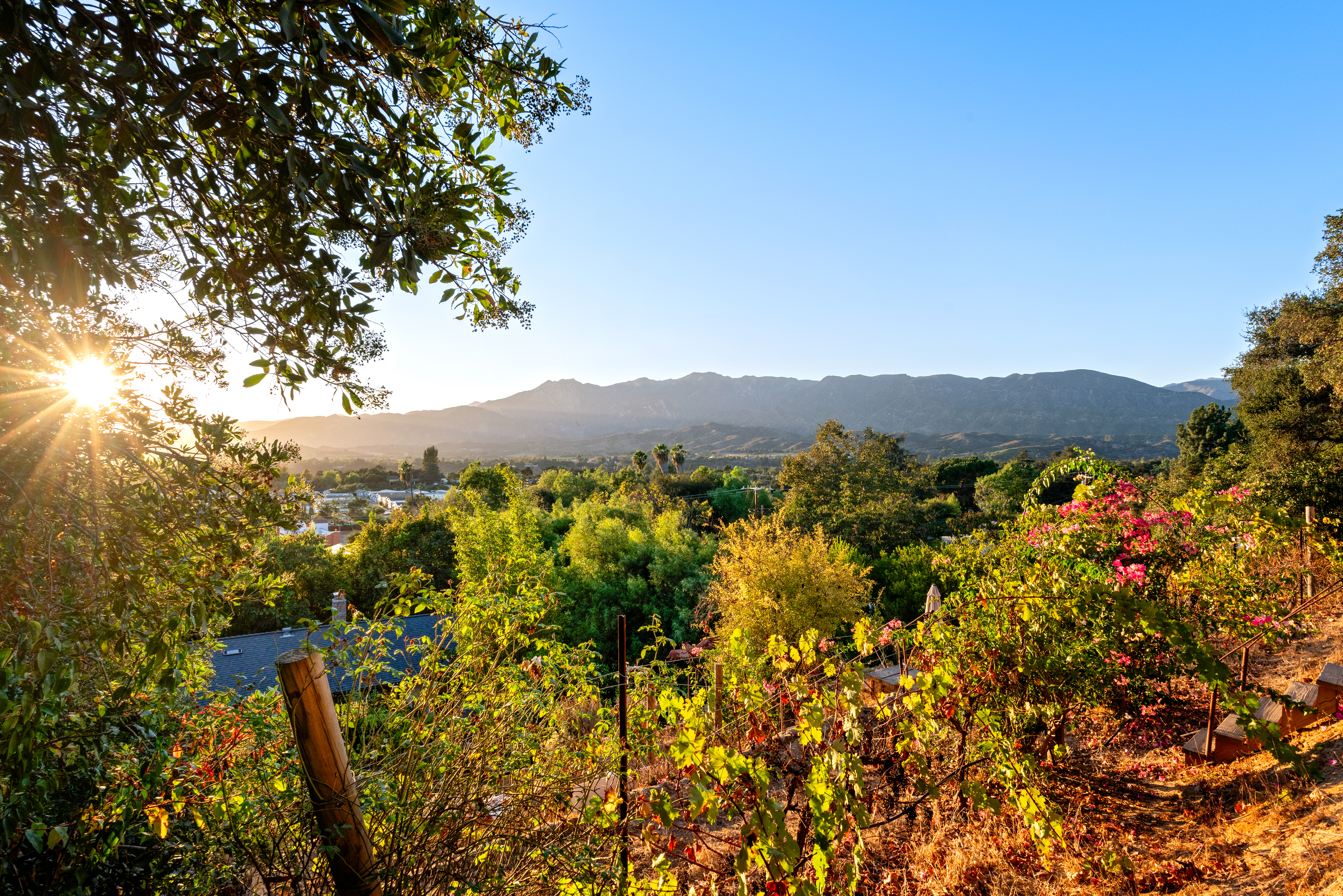  1708 Orchard Drive, Ojai, CA 93023 - 物件實景