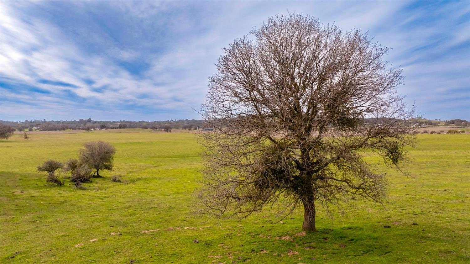 Burson, California, 95225, United States, ,Residential,For Sale,1880944