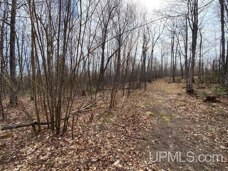 TBD W US 41, Marquette, Michigan, 49855, United States, ,Residential,For Sale,TBD W US 41,1601608