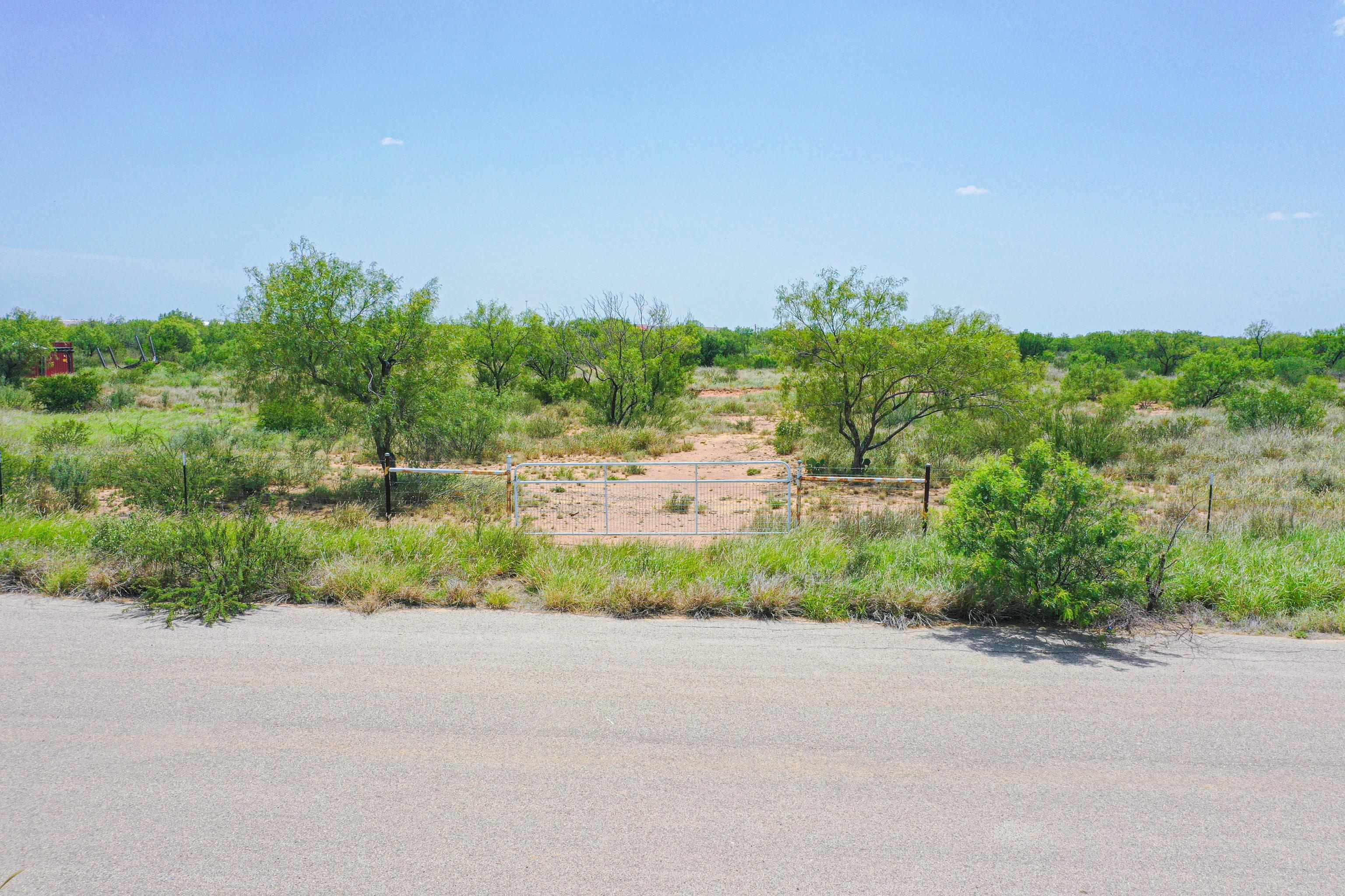 LAREDO, Texas, 78045, United States, ,Land,For Sale,1868654