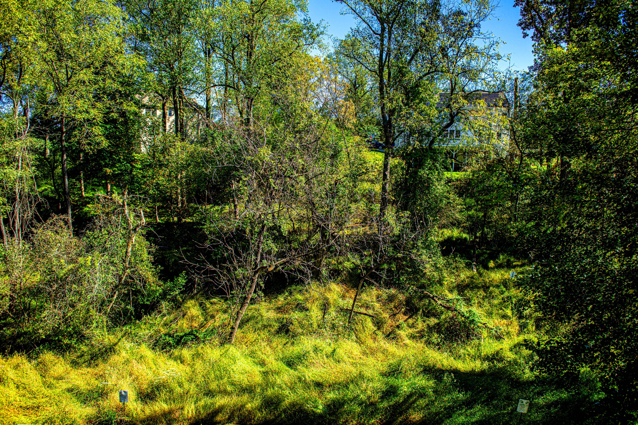  Woods of Tiber Branch II - 物件實景