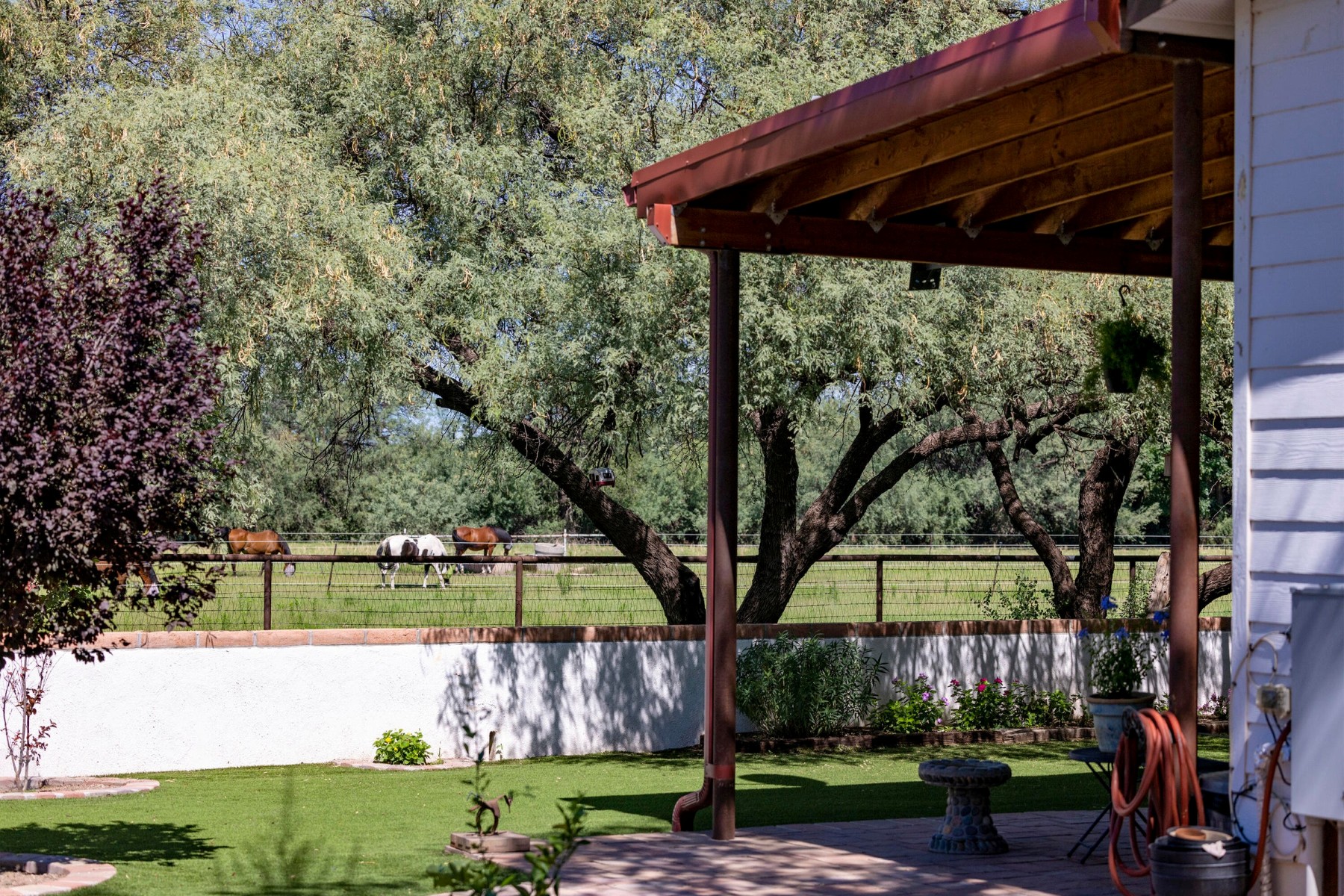  3155 W Elephant Head Road¦Amado, AZ - 物件實景