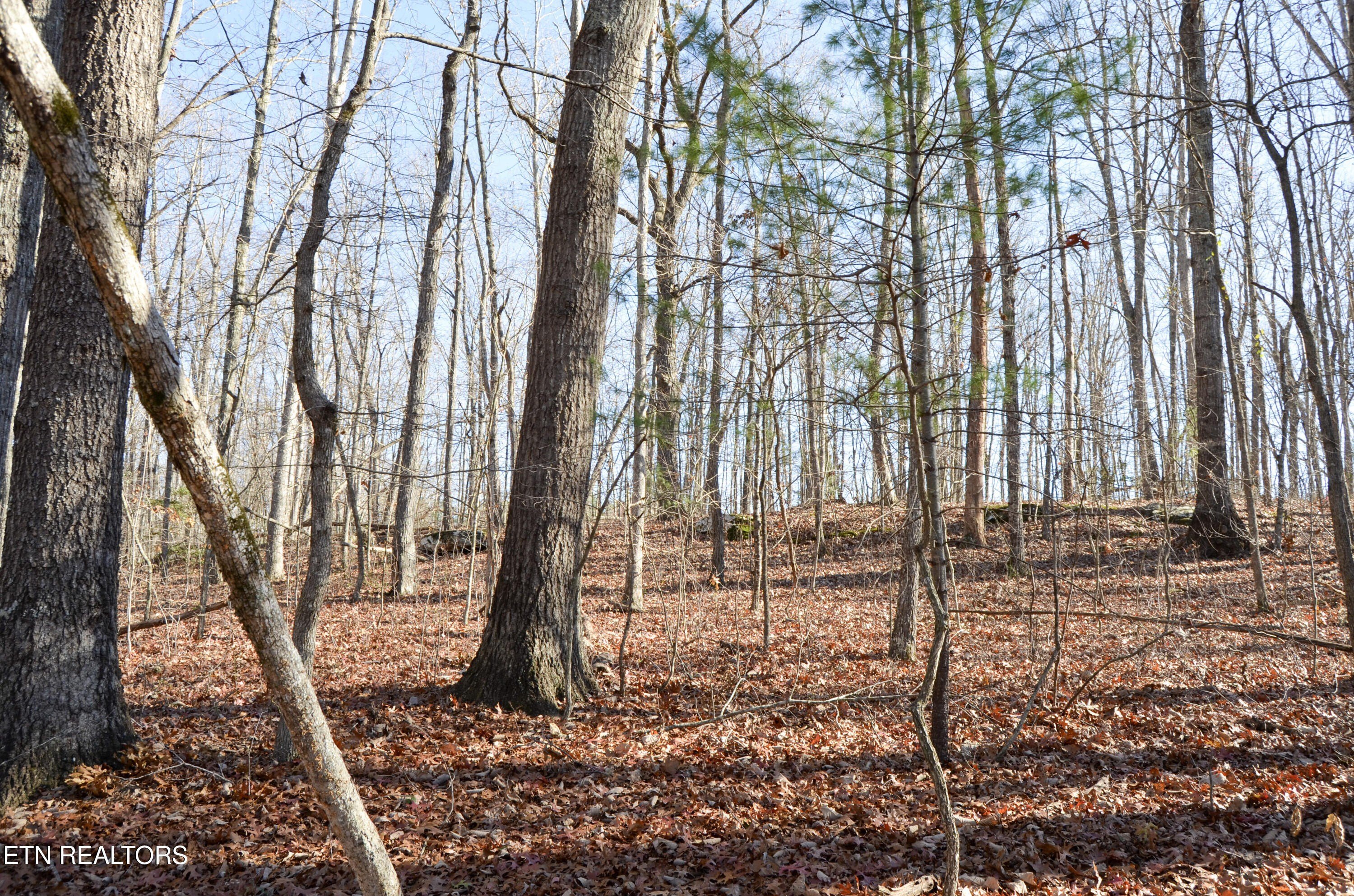 Crossville, Tennessee, 38555, United States, ,Land,For Sale,1978266