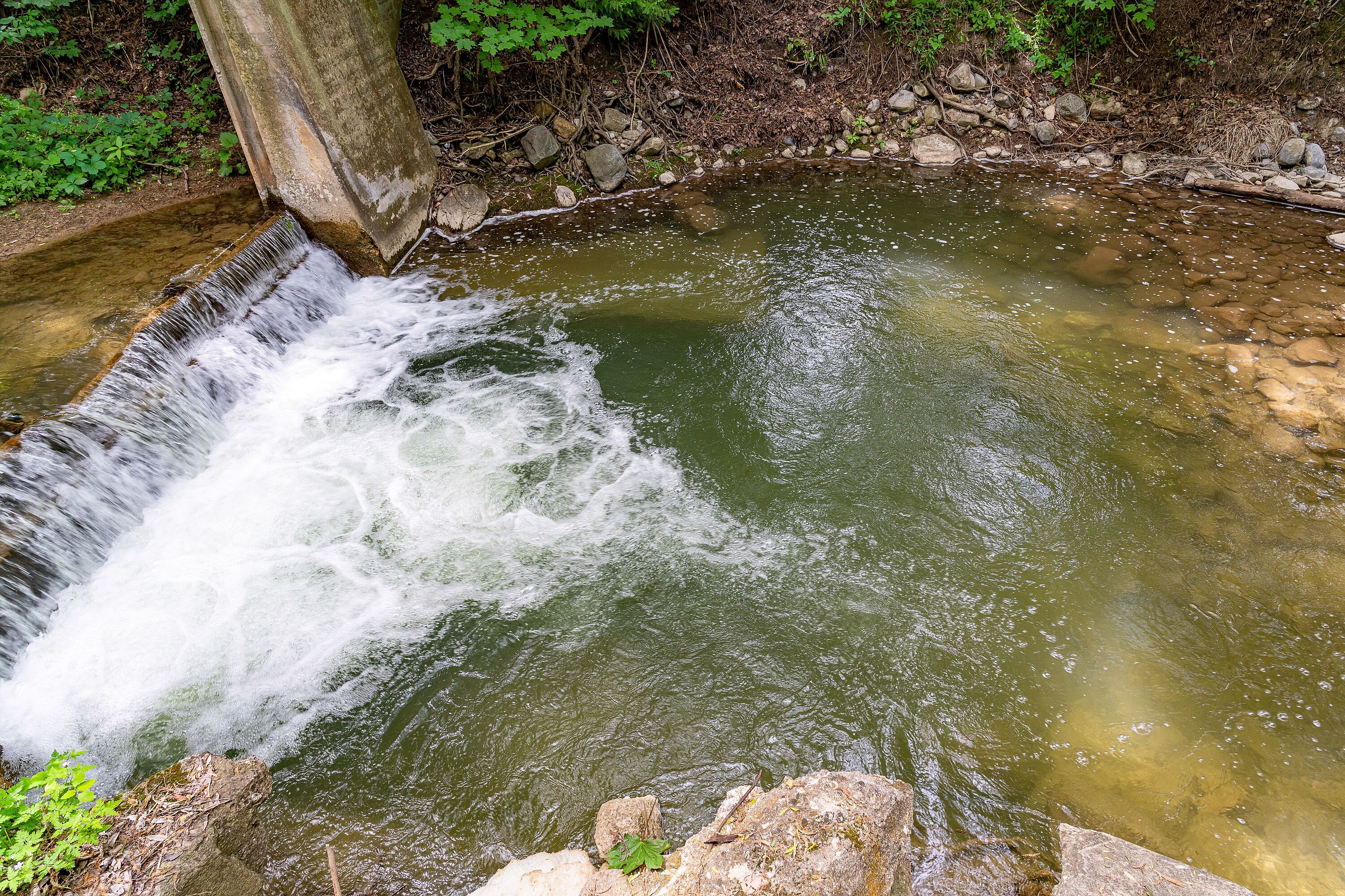  1.77-Acre Sanctuary - 物件實景