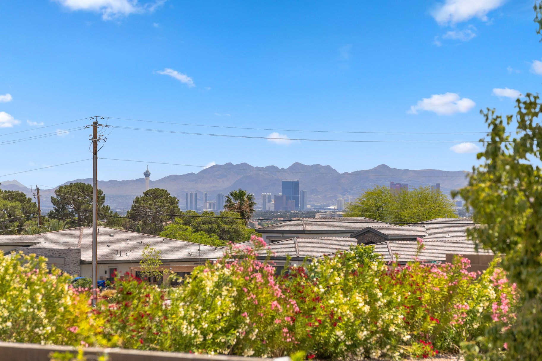  Over Half-Acre Lot Estate with No HOA & Endless Flexibility - 物件實景