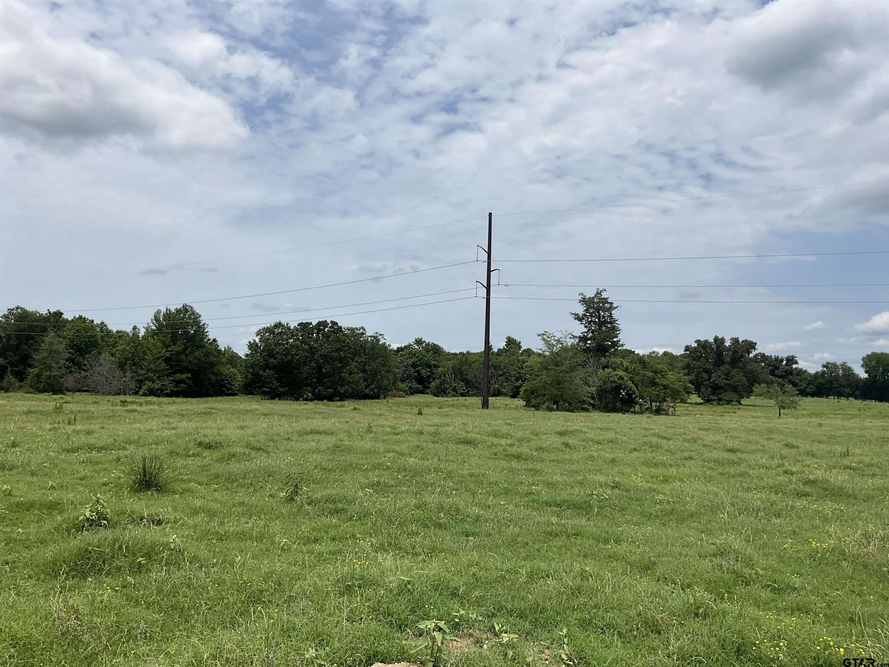 Pittsburg, Texas, 75686, United States, ,Land,For Sale,1976624