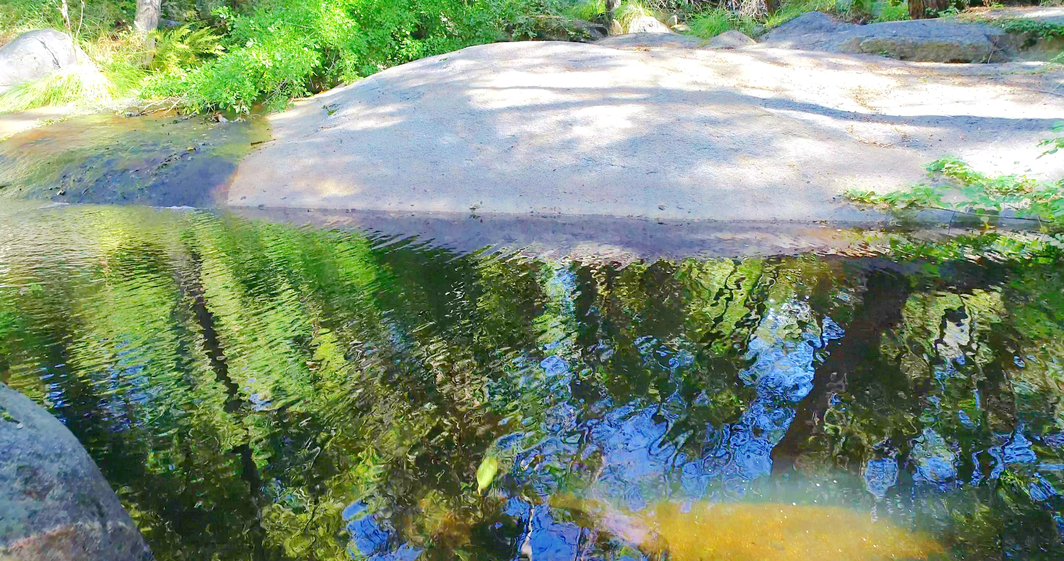 Mariposa, California, 95338, United States, 3 Bedrooms Bedrooms, ,3 BathroomsBathrooms,Residential,For Sale,1973787