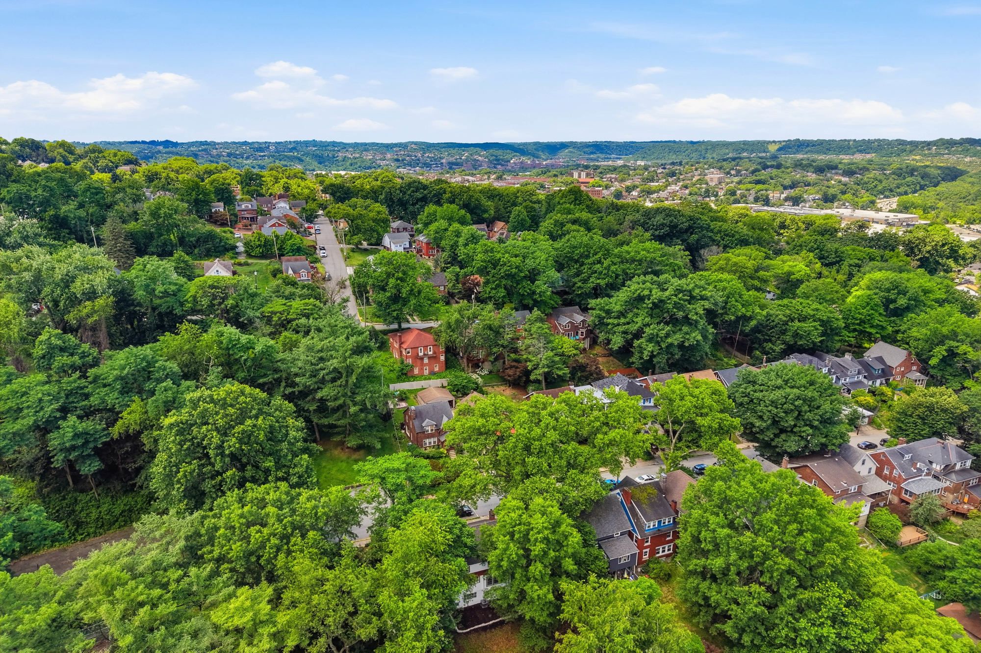  235 Oakview Avenue, Pittsburgh, PA 15218 - 物件實景