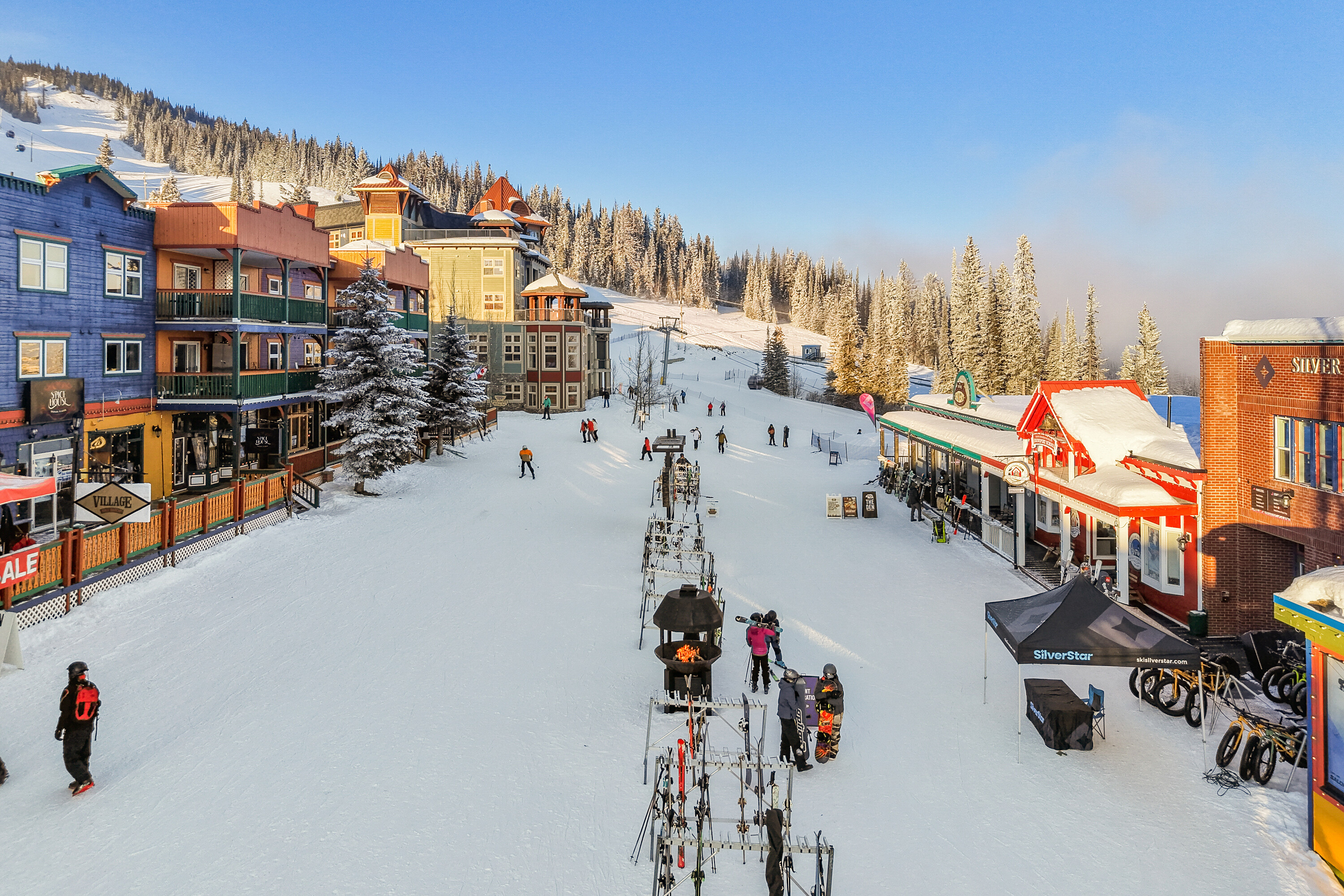  Snowbird Lodge Living - 物件實景