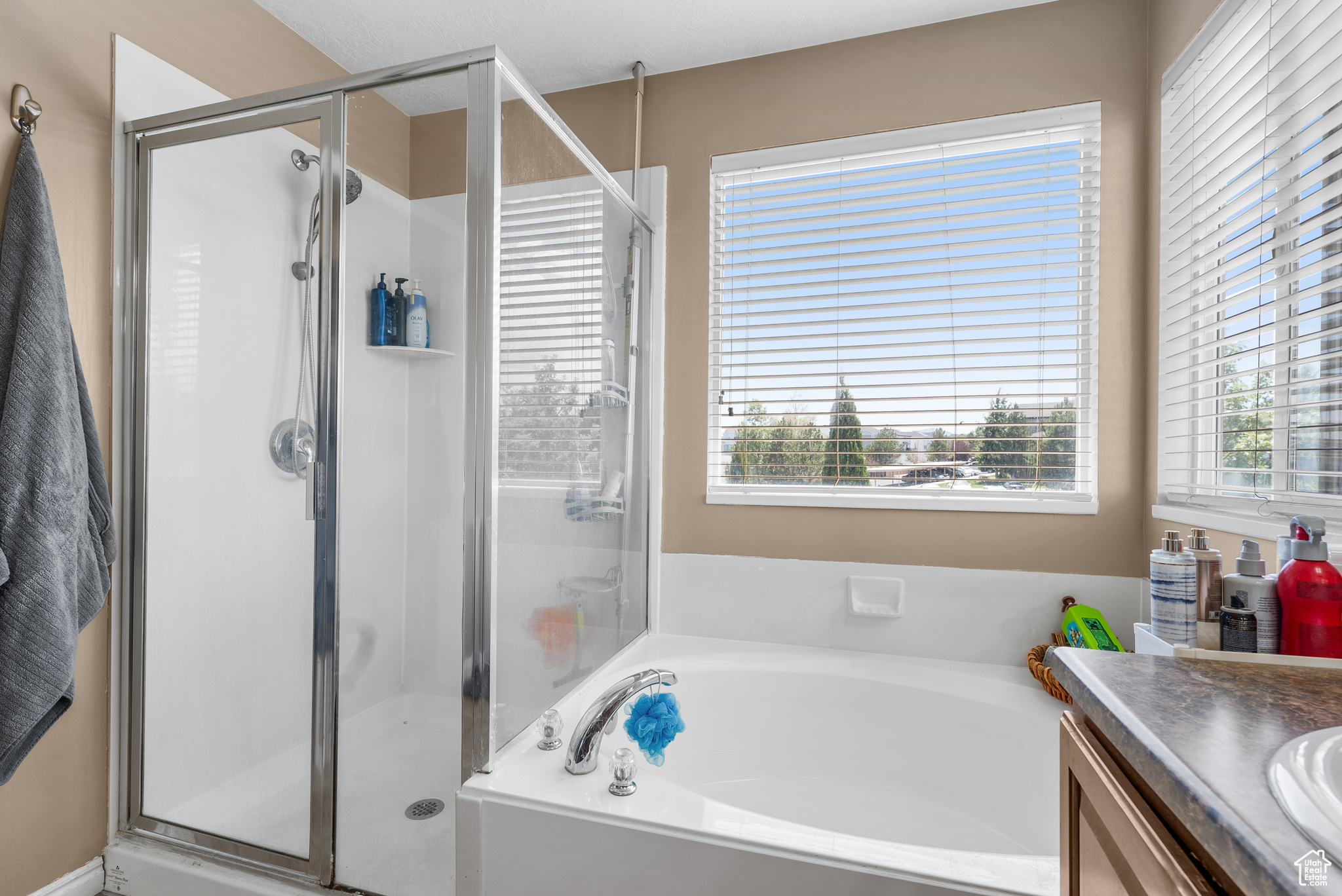 West Jordan, Utah, 84081, United States, 4 Bedrooms Bedrooms, ,3 BathroomsBathrooms,Residential,For Sale,1885459