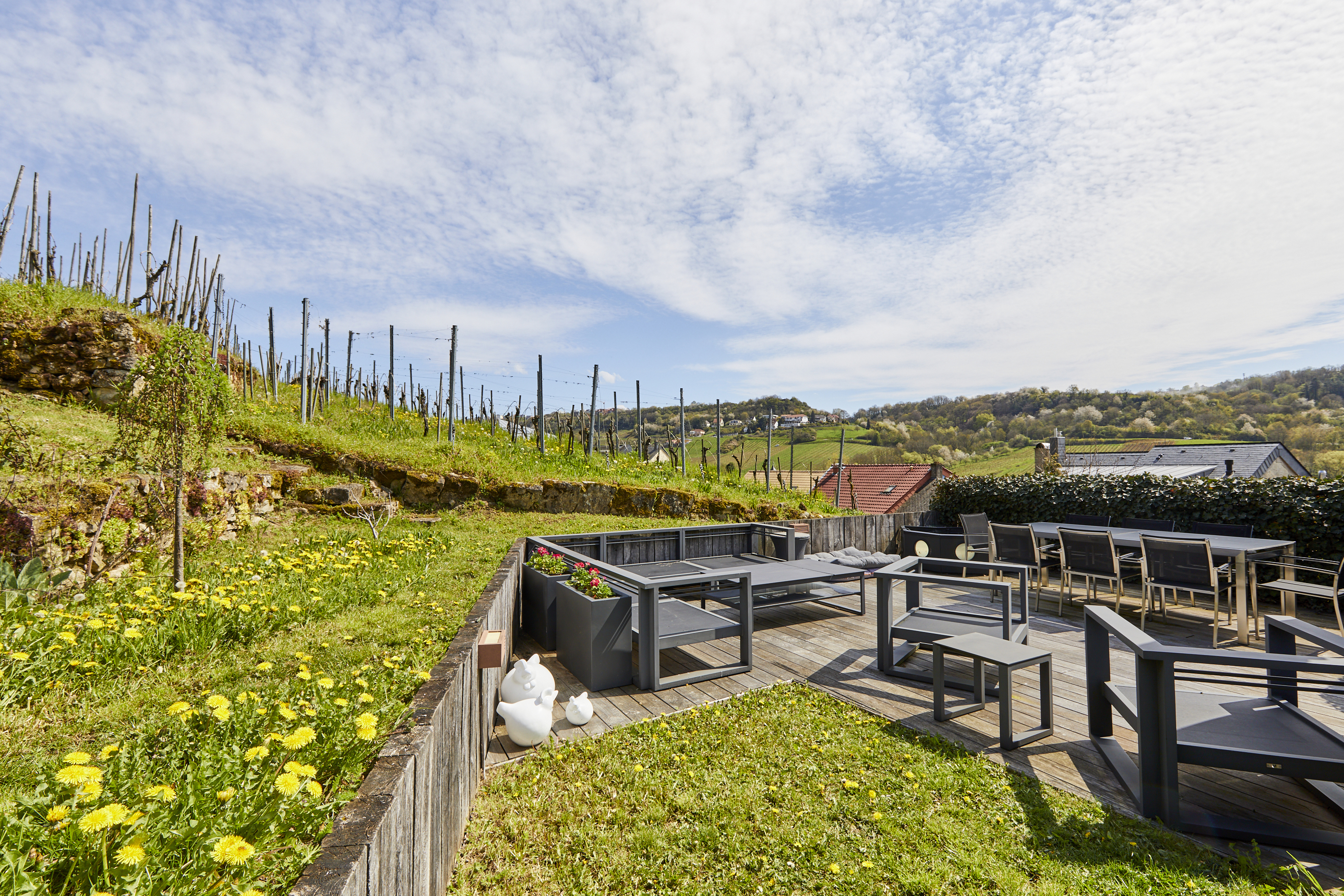  Winegrower’s house in Wormeldange - 物件實景