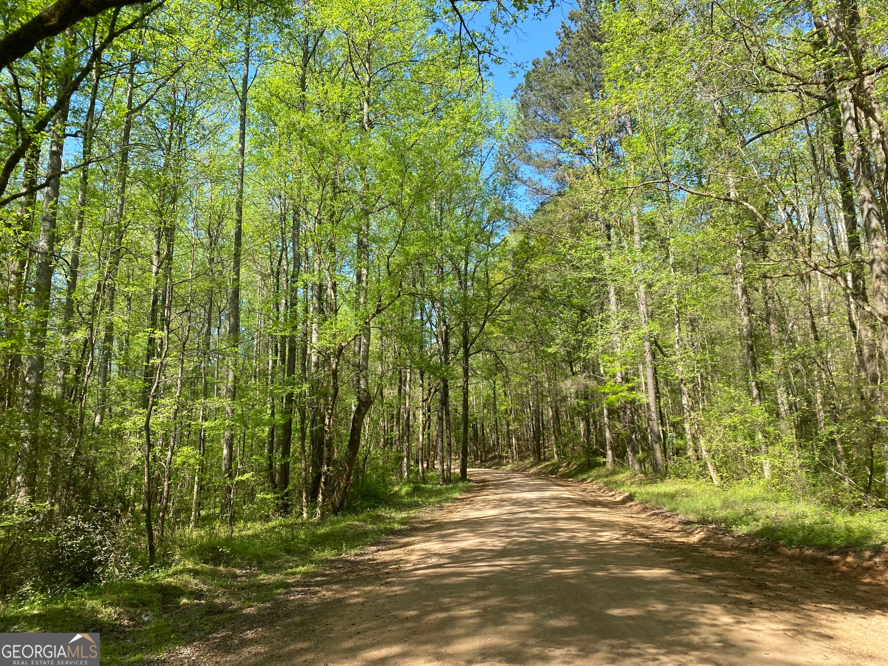 Forsyth, Georgia, 31029, United States, ,Land,For Sale,1907989