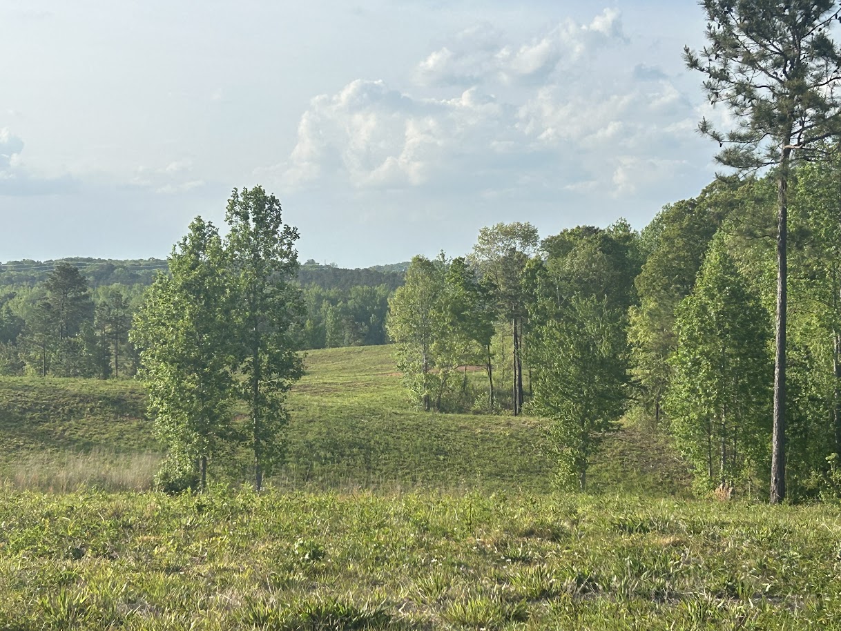 Roopville, Georgia, 30170, United States, ,Residential,For Sale,1780793