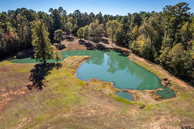 Winona, Texas, 75792, United States, 4 Bedrooms Bedrooms, ,2 BathroomsBathrooms,Residential,For Sale,1995143