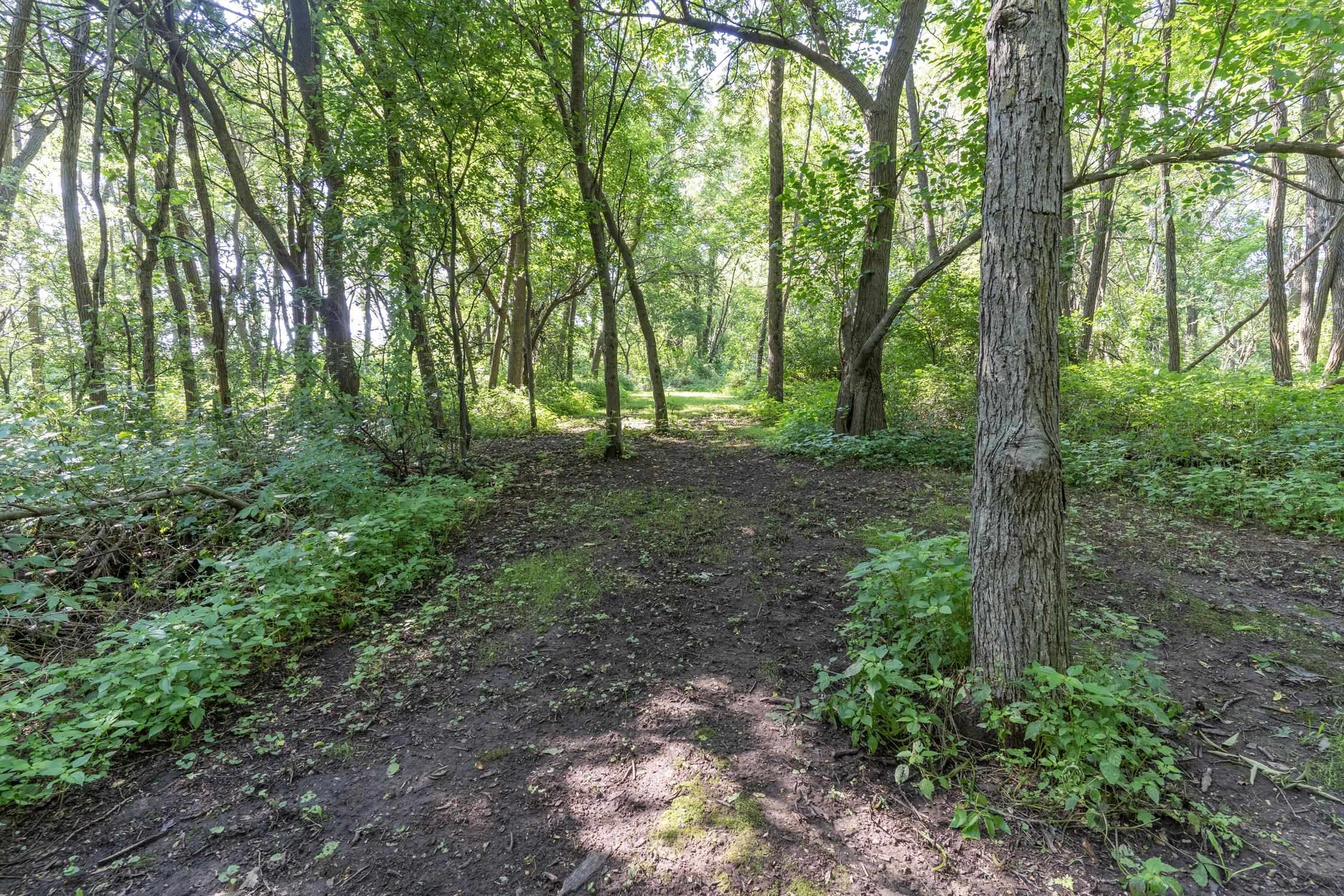 Monticello, Wisconsin, 53570-9520, United States, 4 Bedrooms Bedrooms, ,3 BathroomsBathrooms,Residential,For Sale,2005674