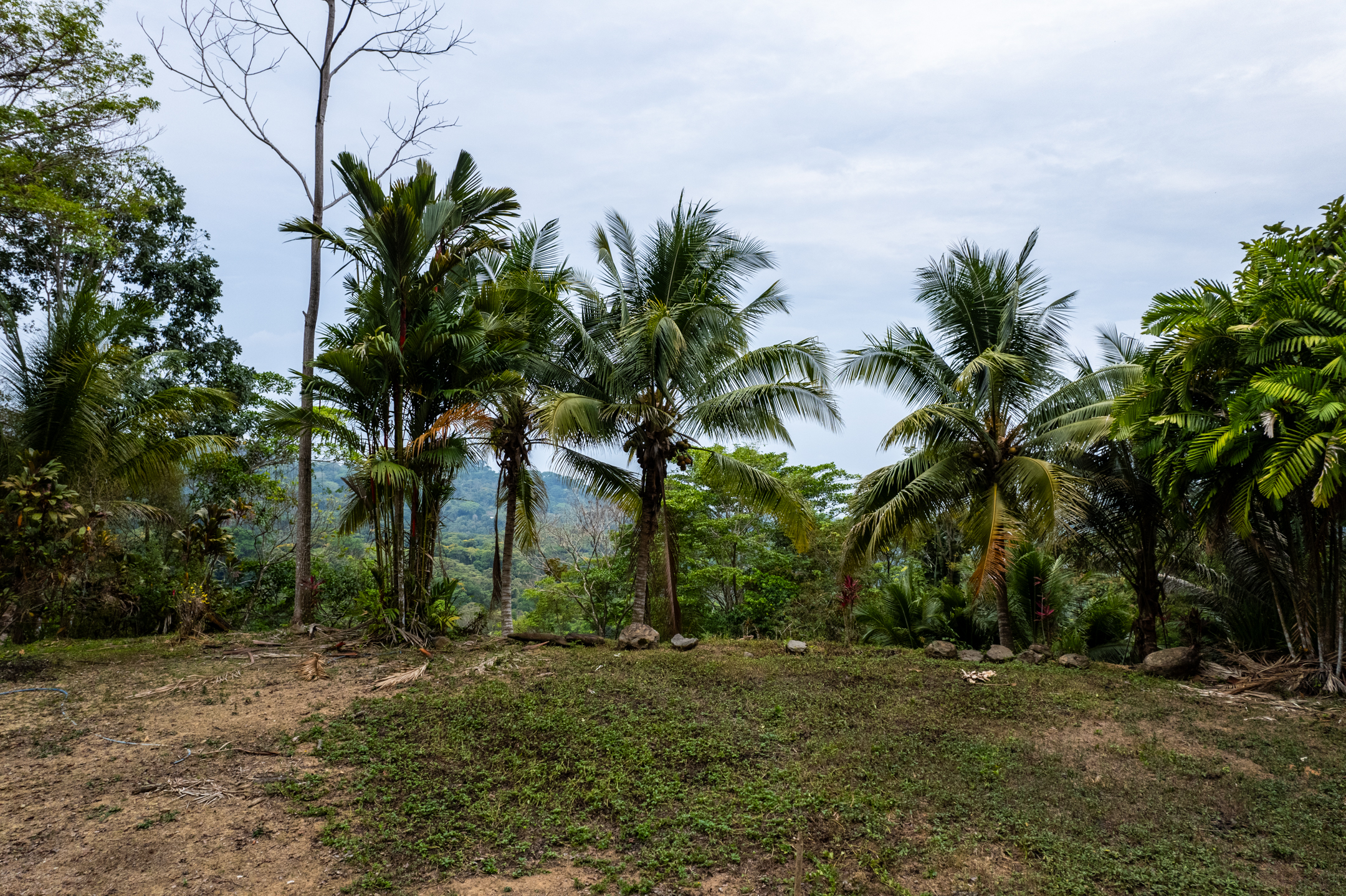 Lagunas, Dominical, Puntarenas, CR, 2 Bedrooms Bedrooms, ,1 BathroomBathrooms,Land,For Sale,Lagunas,1589118