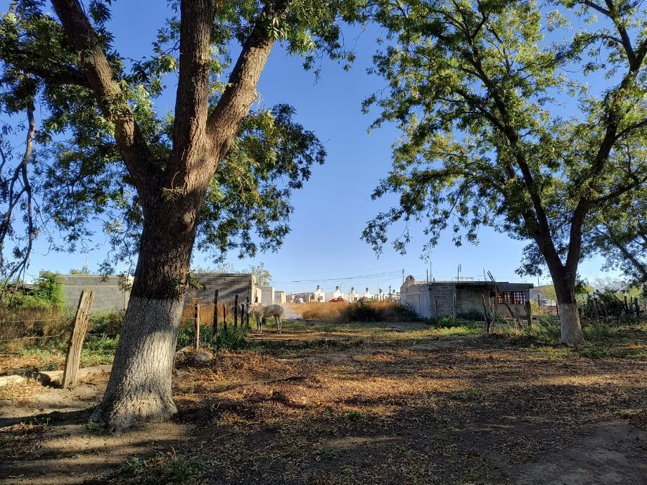 Parras, Coahuila de Zaragoza, 27987, Mexico, 1 Bedroom Bedrooms, ,Residential,For Sale,1695187