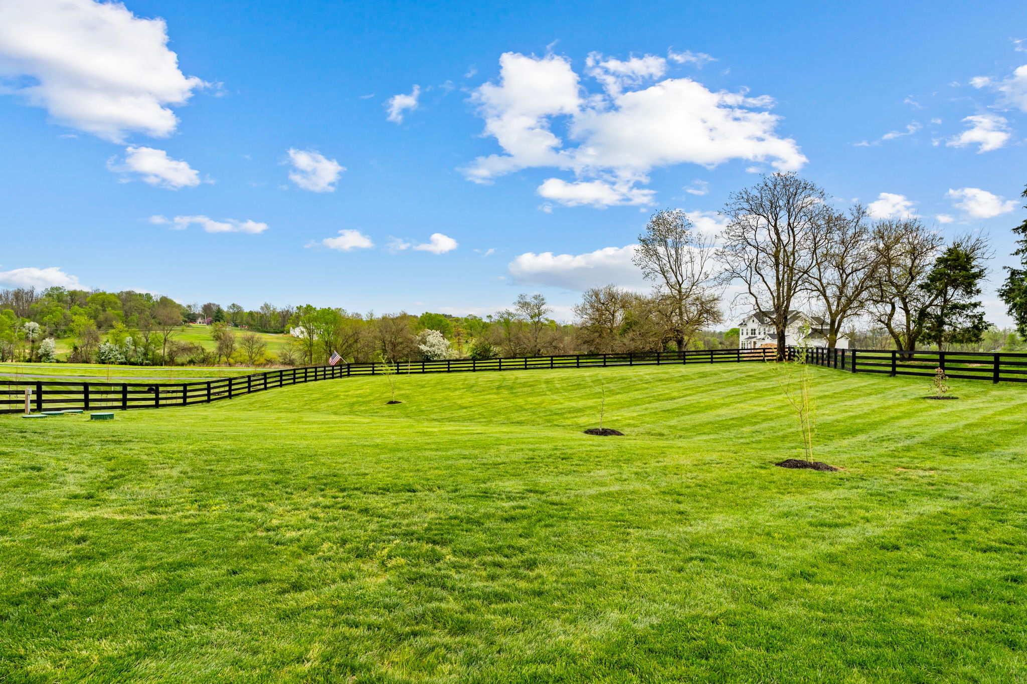  12446 Barrel Oak Lane, Lovettsville, VA 20180 - 物件實景