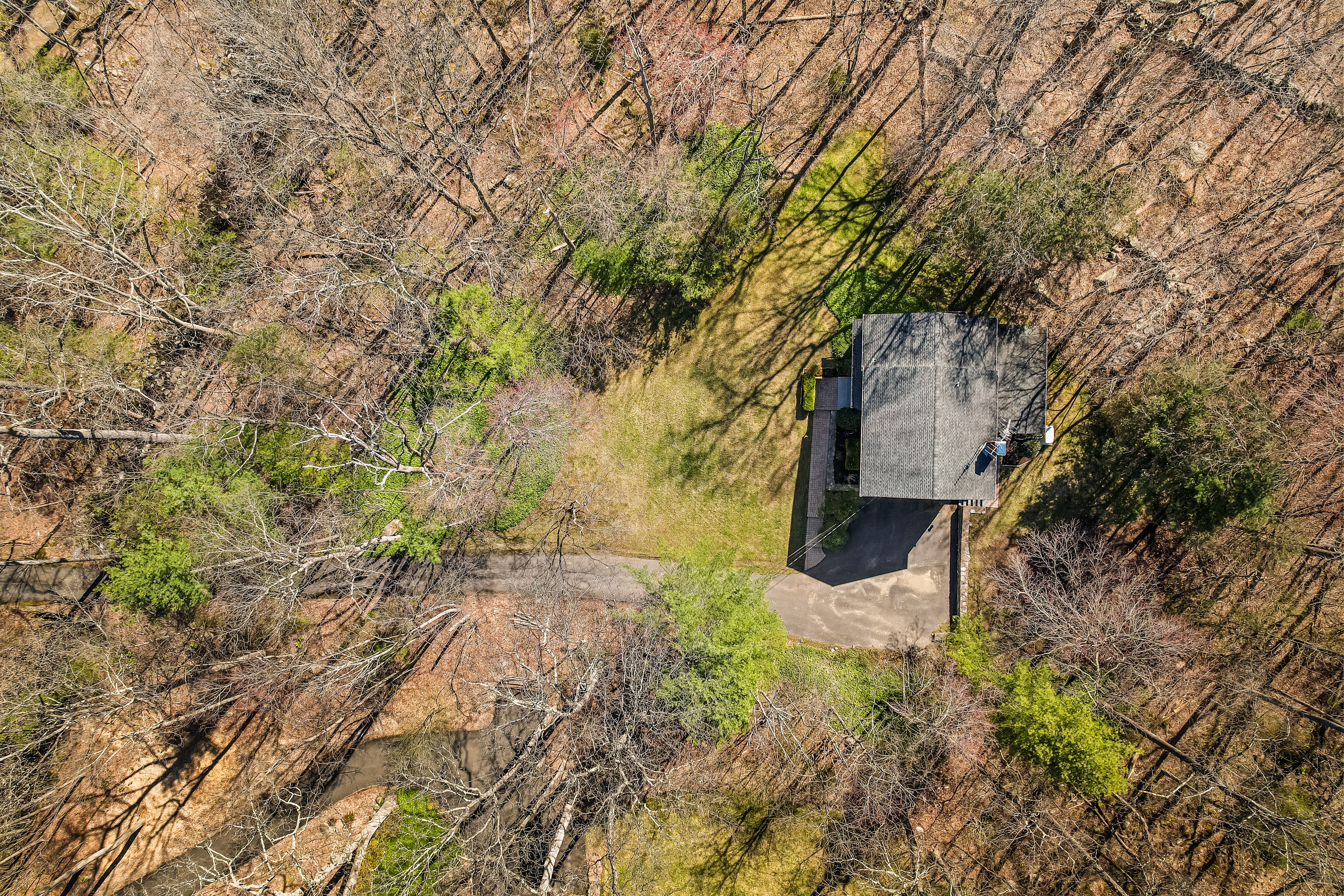  Spacious 4 Bedroom in CT - 物件實景