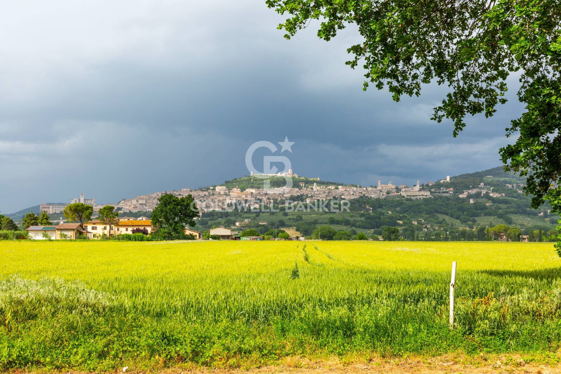 Assisi, Perugia, 06081, IT, 7 Bedrooms Bedrooms, ,3 BathroomsBathrooms,Residential,For Sale,1903573