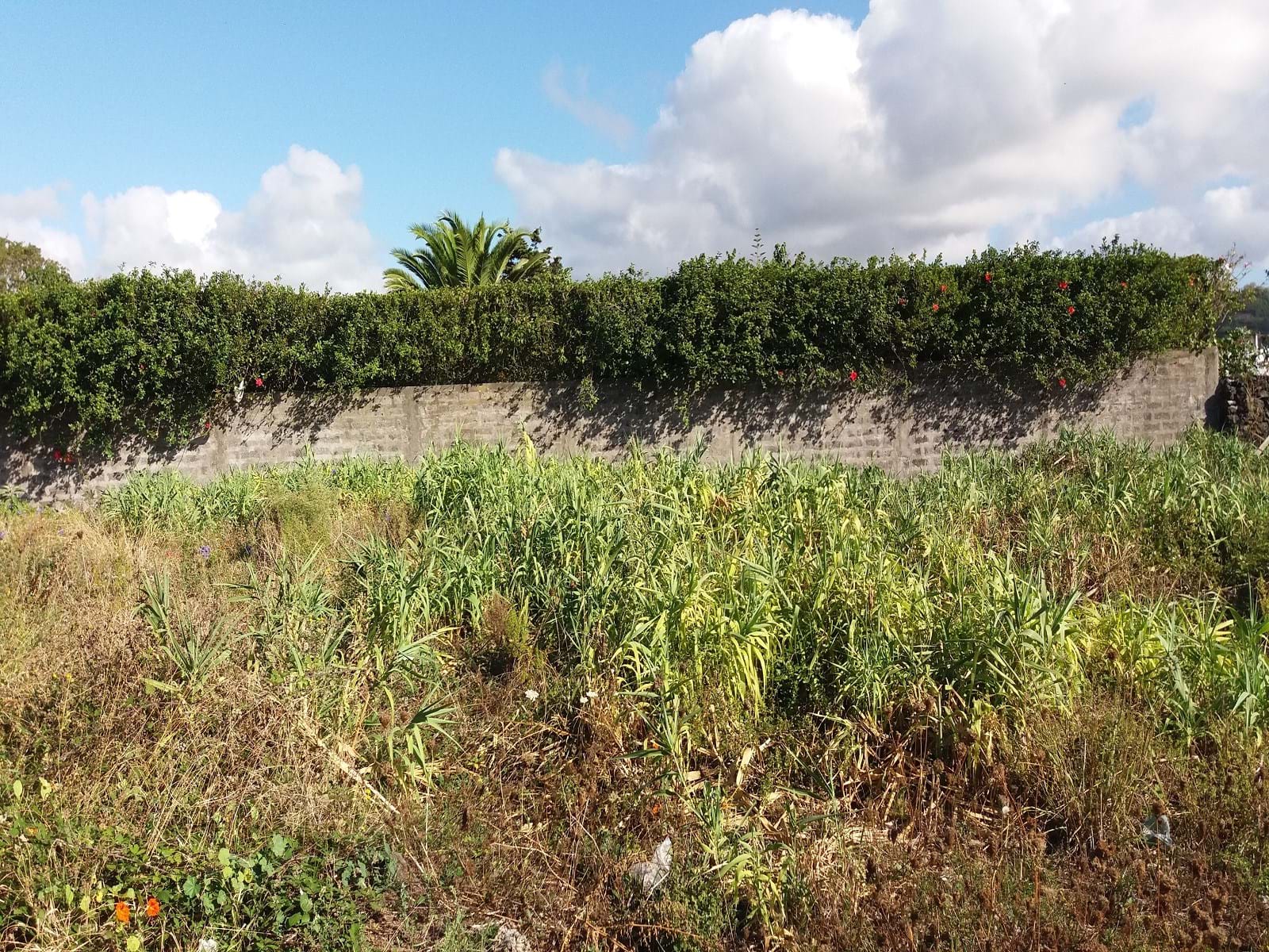 Ponta Delgada, Ilha de São Miguel, 9500-000, PT, ,Land,For Sale,1700309