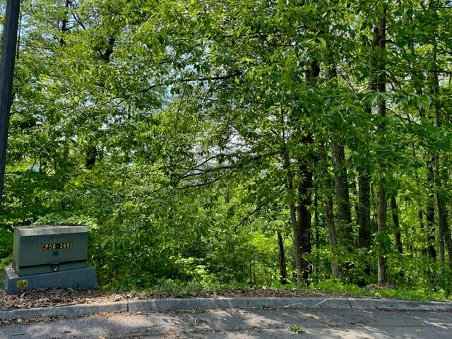 Sevierville, Tennessee, 37876, United States, 13 Bedrooms Bedrooms, ,14 BathroomsBathrooms,Residential,For Sale,1974606