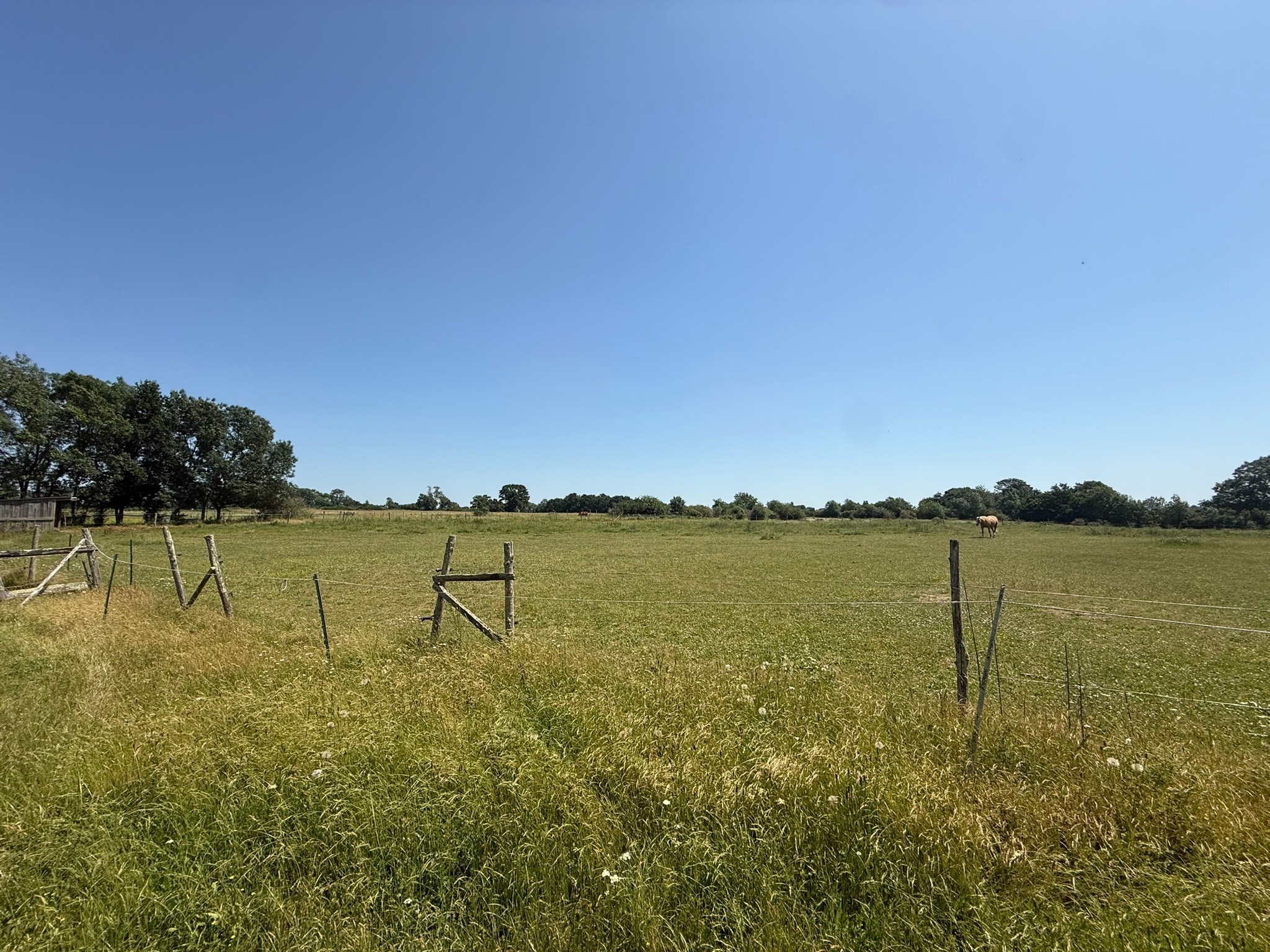  Equestrian property with 9 hectares stables and 2 houses - 物件實景