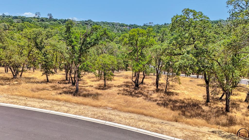 El Dorado Hills, California, 95762, United States, ,Land,For Sale,1874458