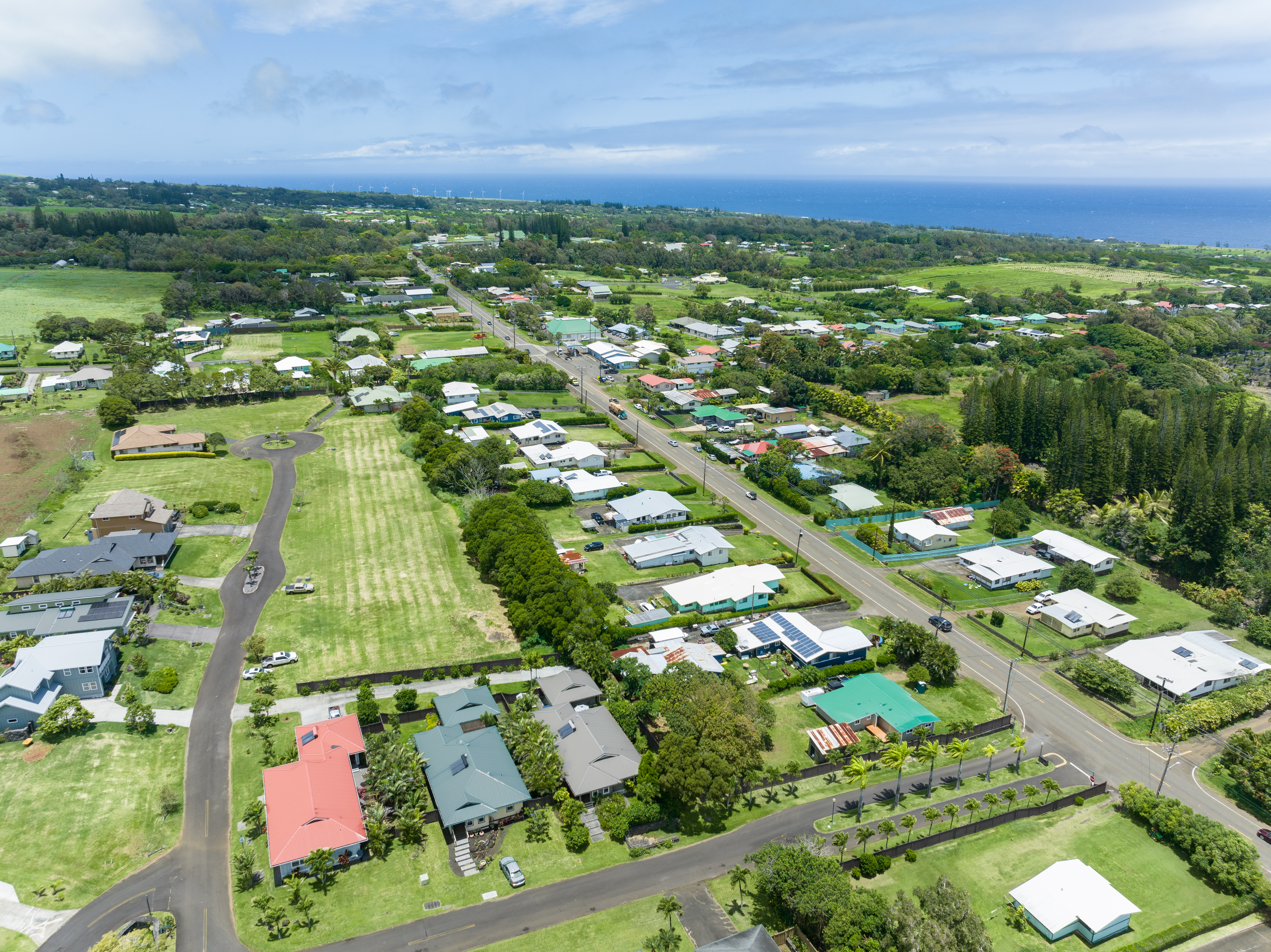  54-3758 Hinahina Rd, Kapaau, HI, 96755 - 物件實景