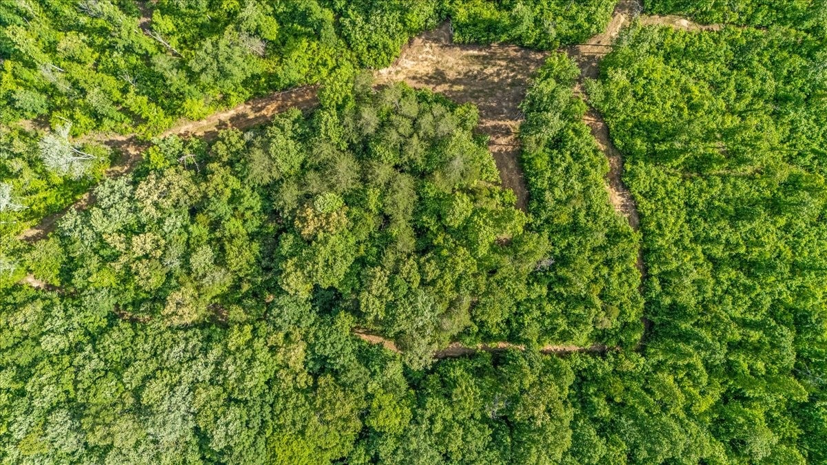 Sparta, Tennessee, 38583, United States, ,Land,For Sale,2006583