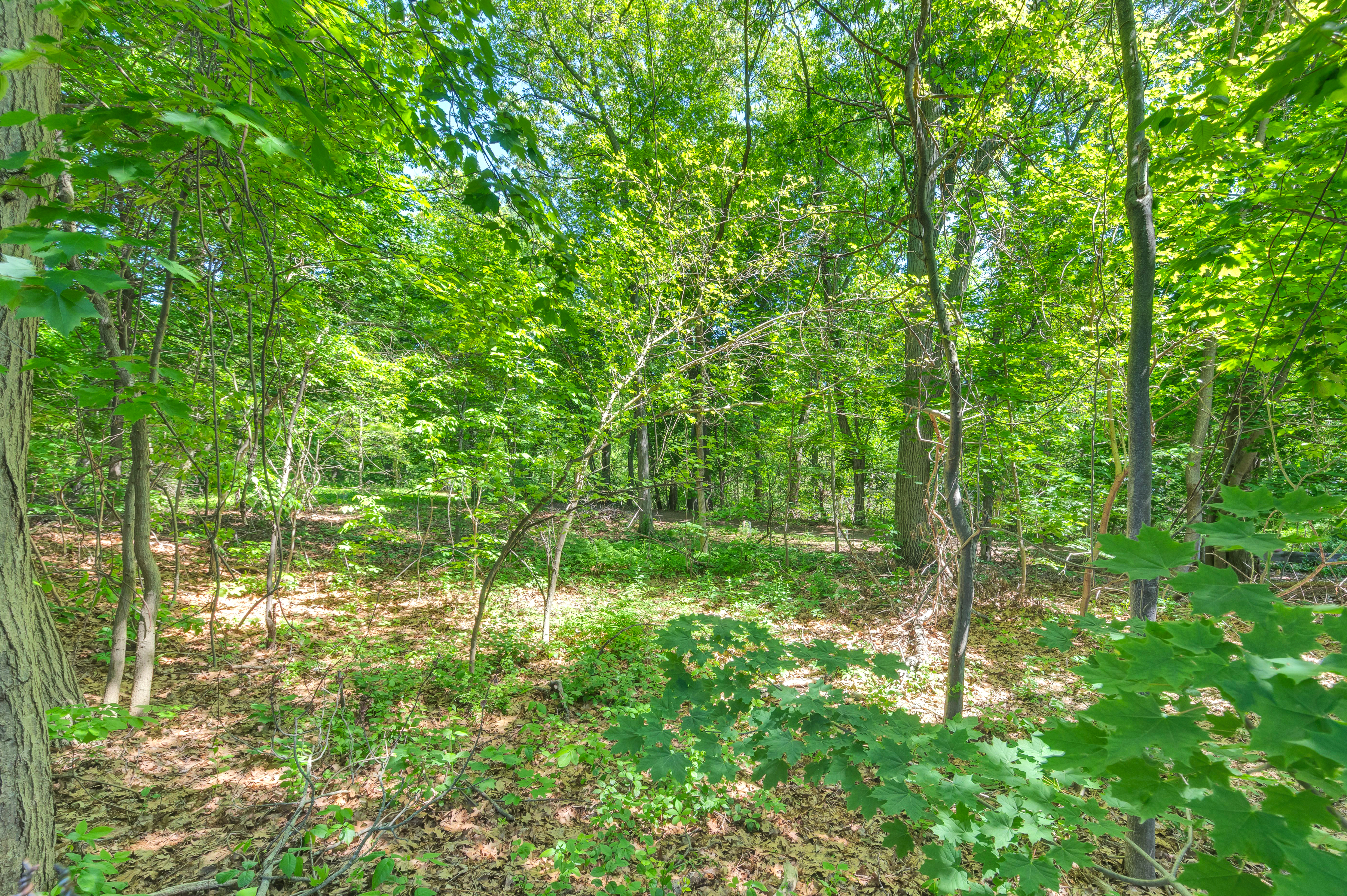  15 Berkeley Street, Arlington, MA, 02474 - 物件實景