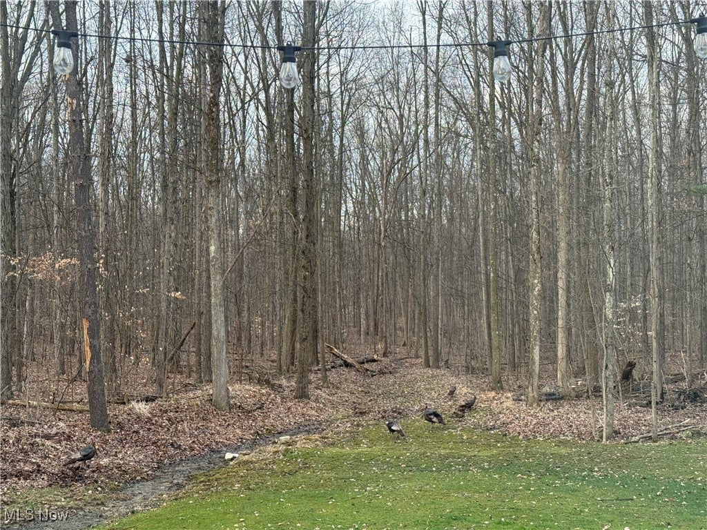 Canfield, Ohio, 44406, United States, 4 Bedrooms Bedrooms, ,3 BathroomsBathrooms,Residential,For Sale,2005733