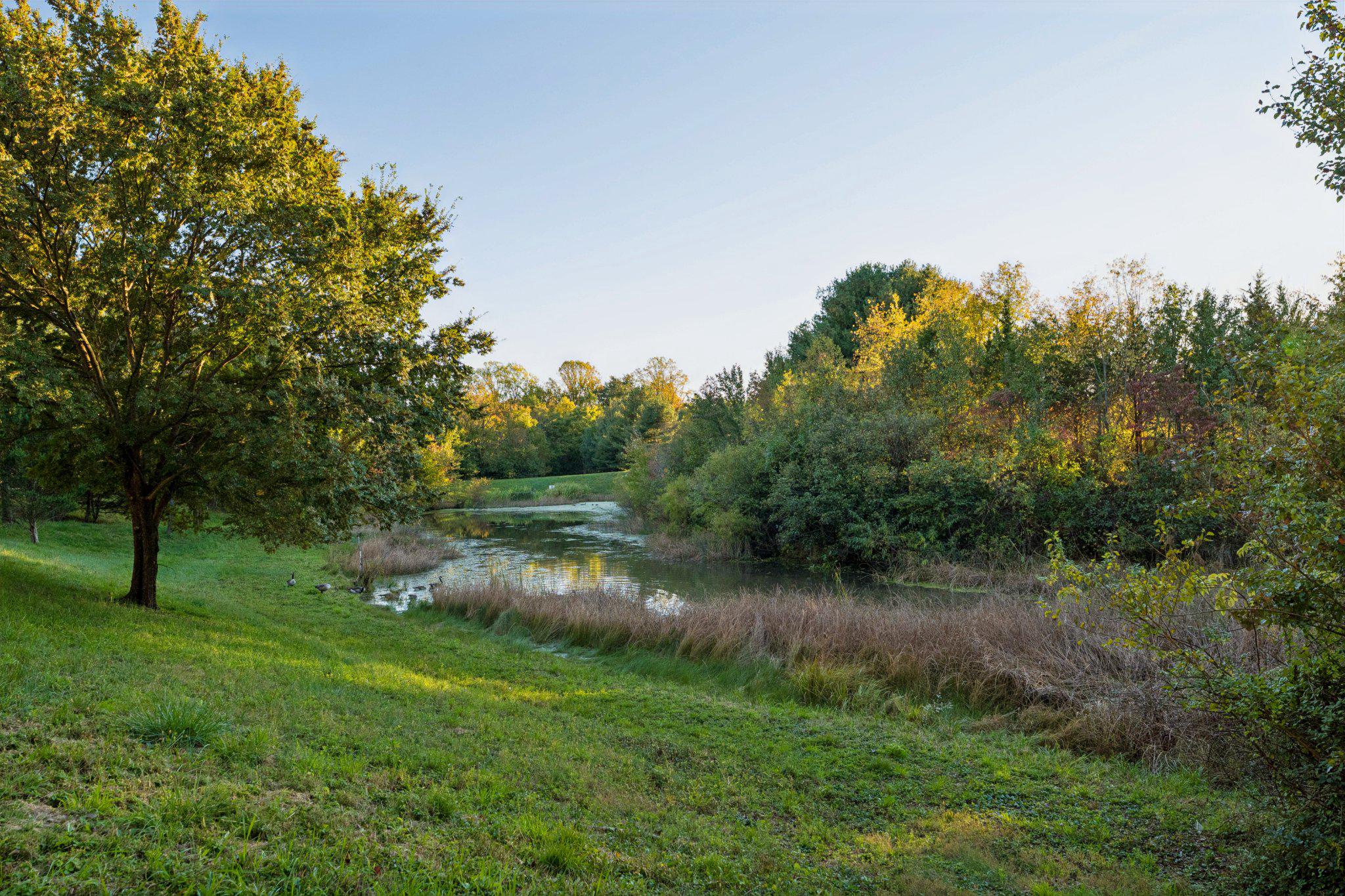  15118 Briarcliff Manor Way, Burtonsville, MD, 20866 - 物件實景