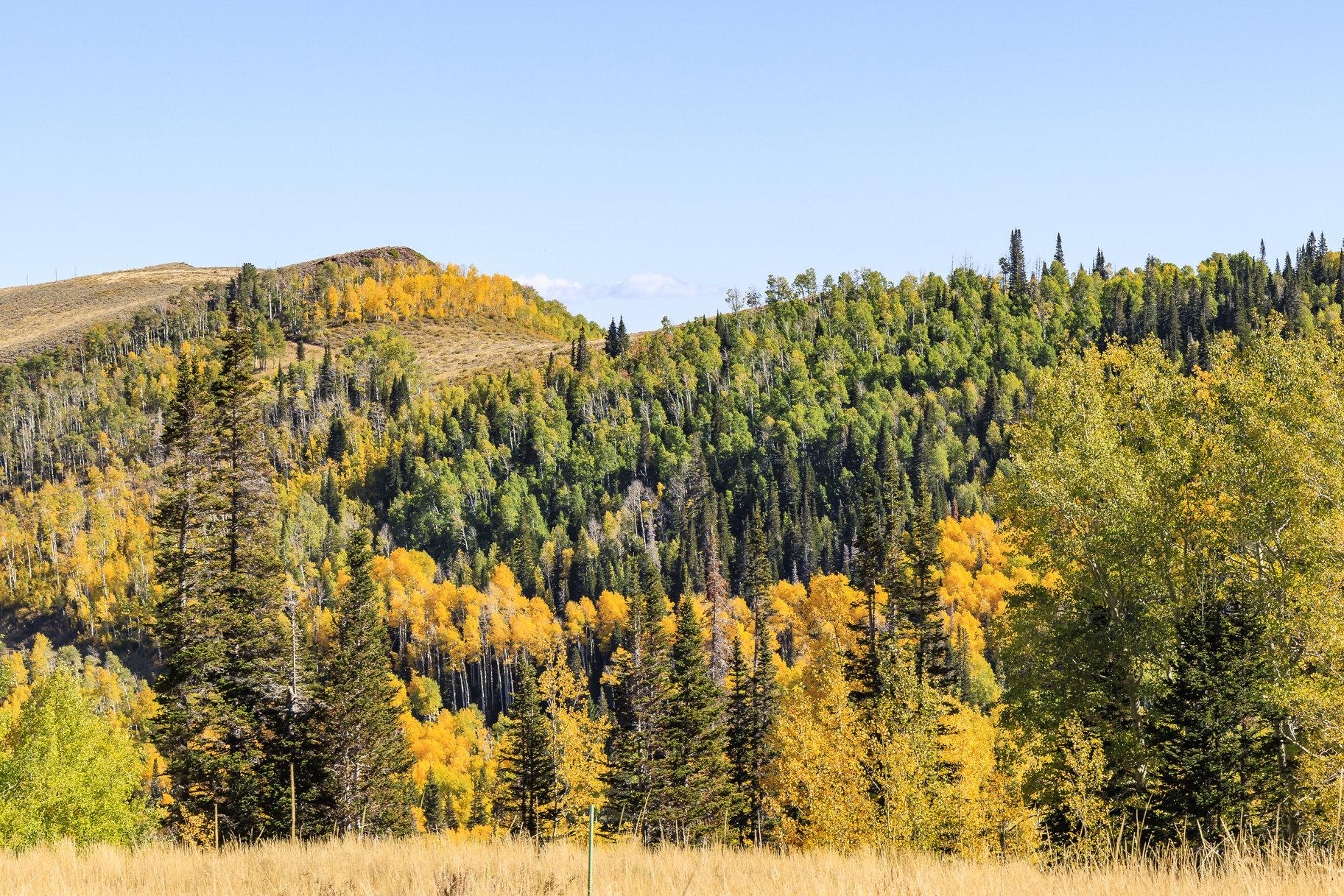 Incredible 28 Acre Estate Lot in the Colony at White Pine Canyon - 物件實景