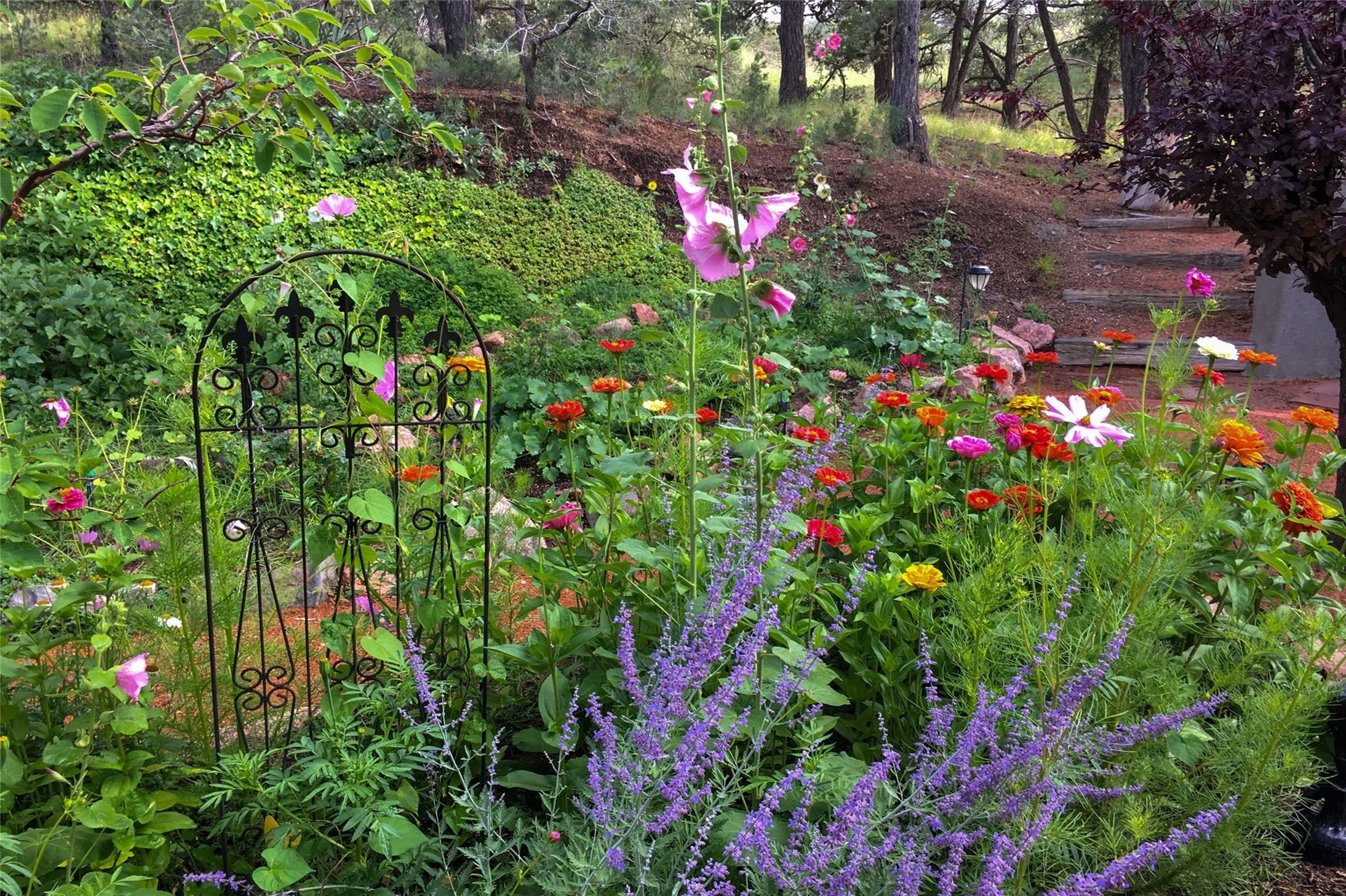  7 Cibola Circle - 物件實景