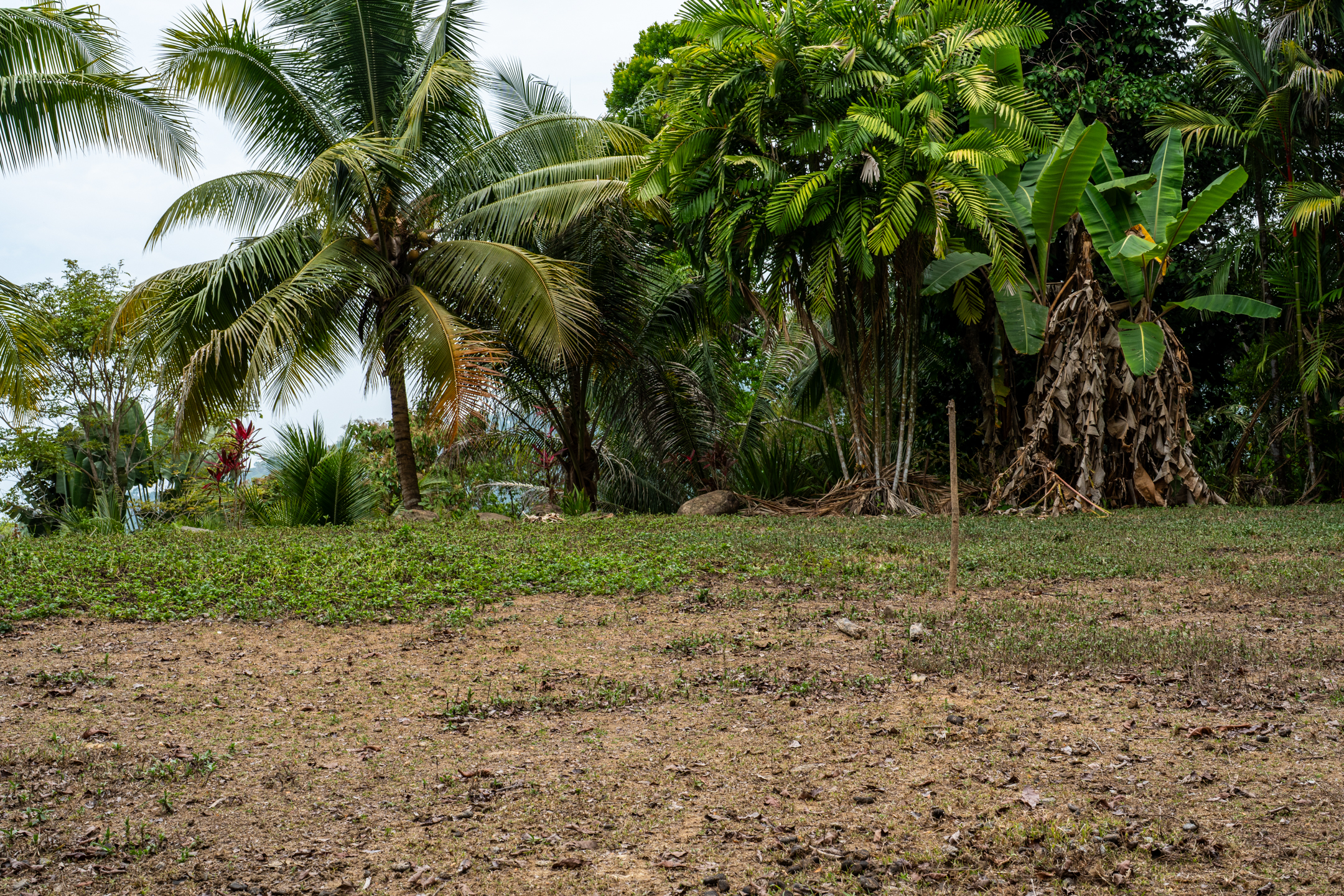 Lagunas, Dominical, Puntarenas, CR, 2 Bedrooms Bedrooms, ,1 BathroomBathrooms,Land,For Sale,Lagunas,1589118