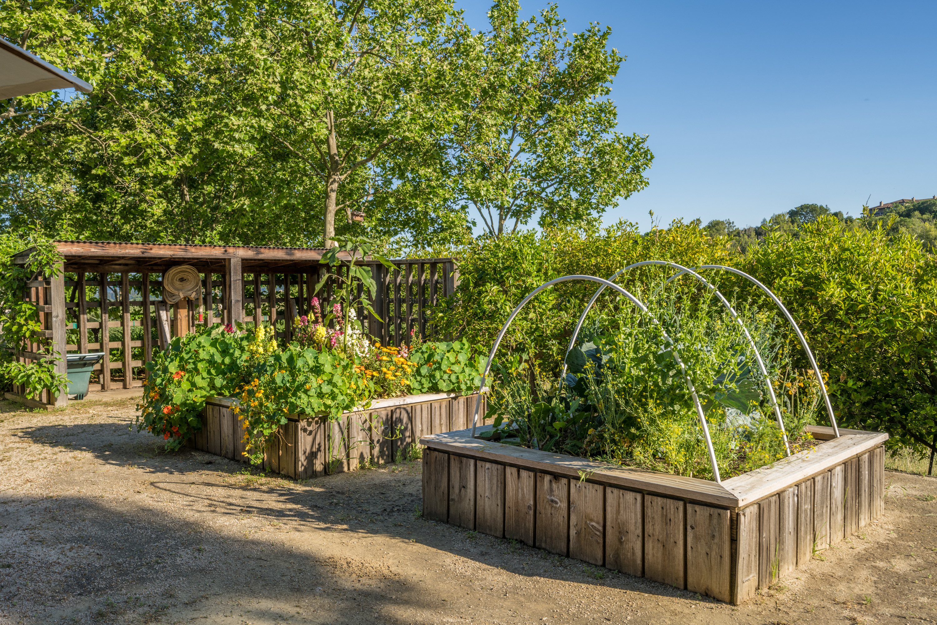  56-Acre Napa Valley Retreat - 物件實景